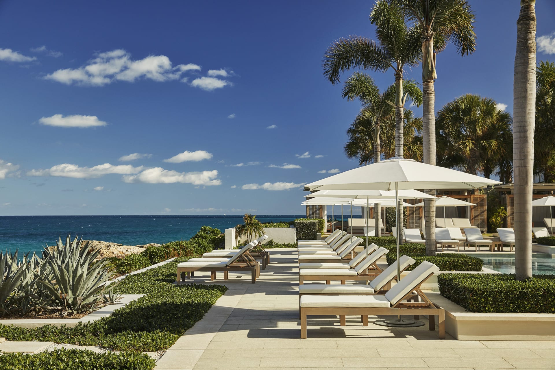 Elegant oceanfront pool terrace lined with white loungers and umbrellas, surrounded by palm trees and tropical greenery under a bright blue sky.