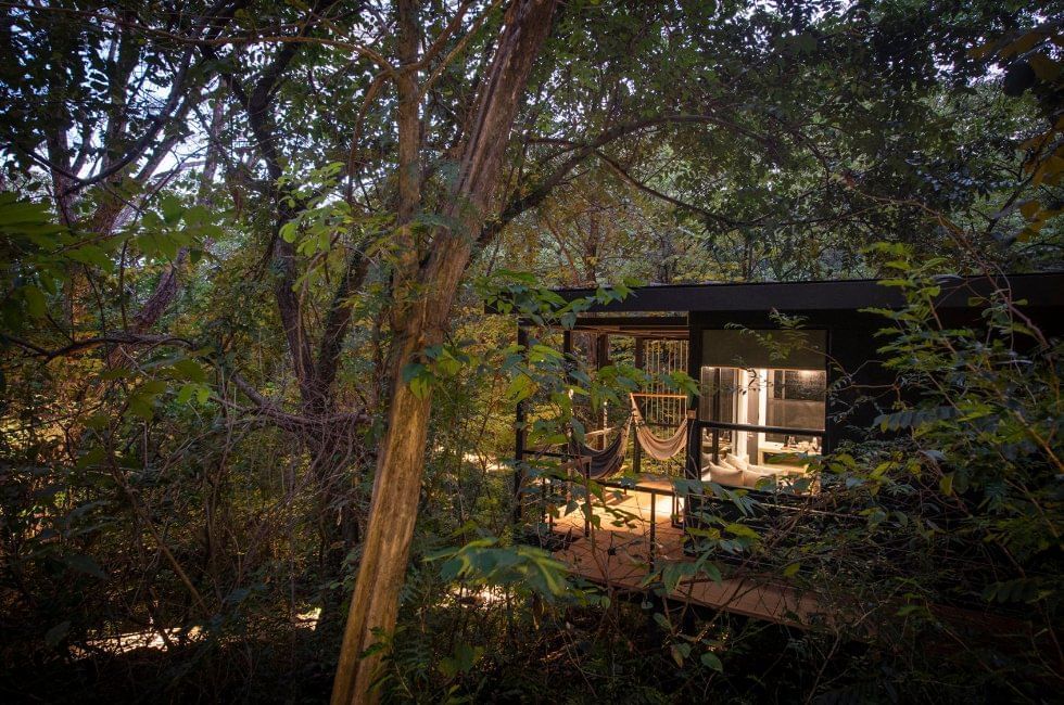 Elevated jungle bungalow partially hidden among dense tropical trees, featuring a softly lit deck with hammocks and large windows glowing from within.