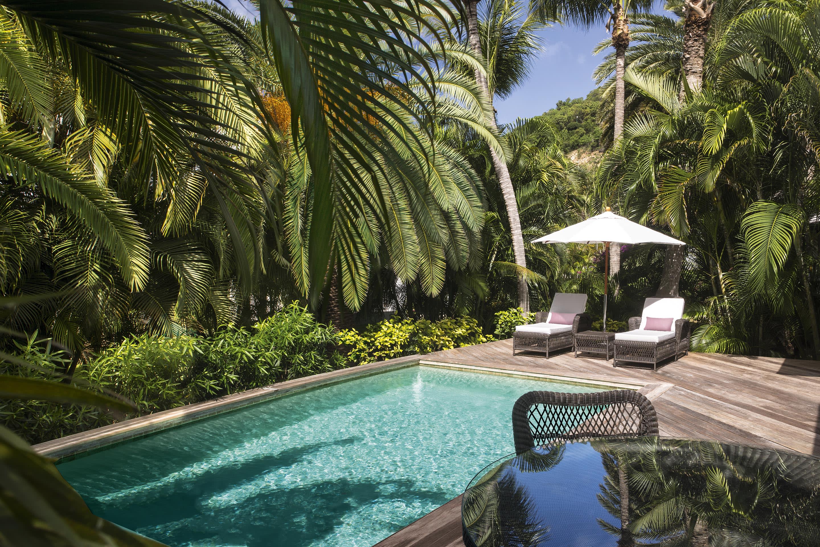 Tropical garden terrace with a private turquoise pool surrounded by lush palm trees, wooden decking, wicker lounge chairs, and a white sun umbrella.