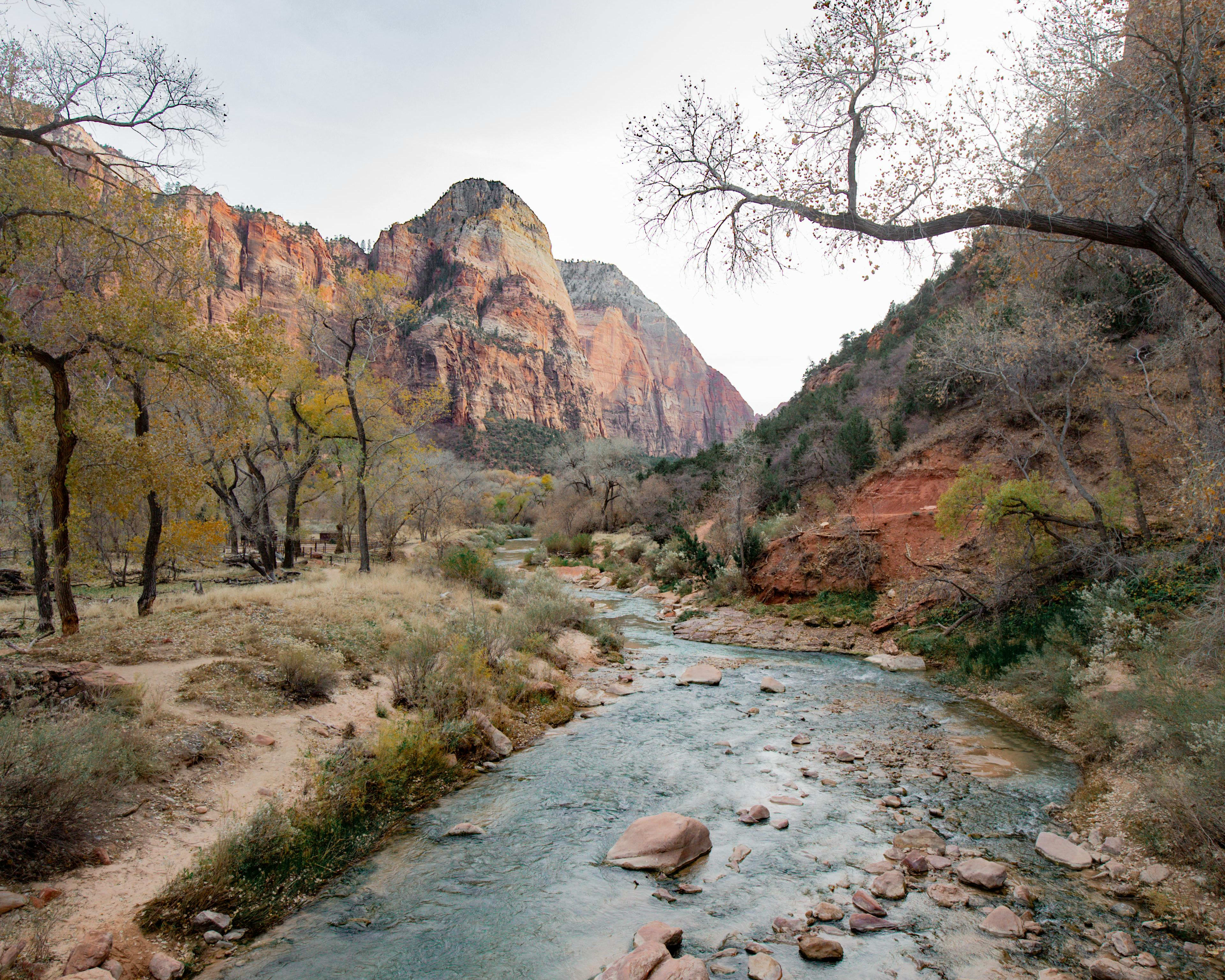 a river cutting through a green and brown desert landscape with mountains and trees