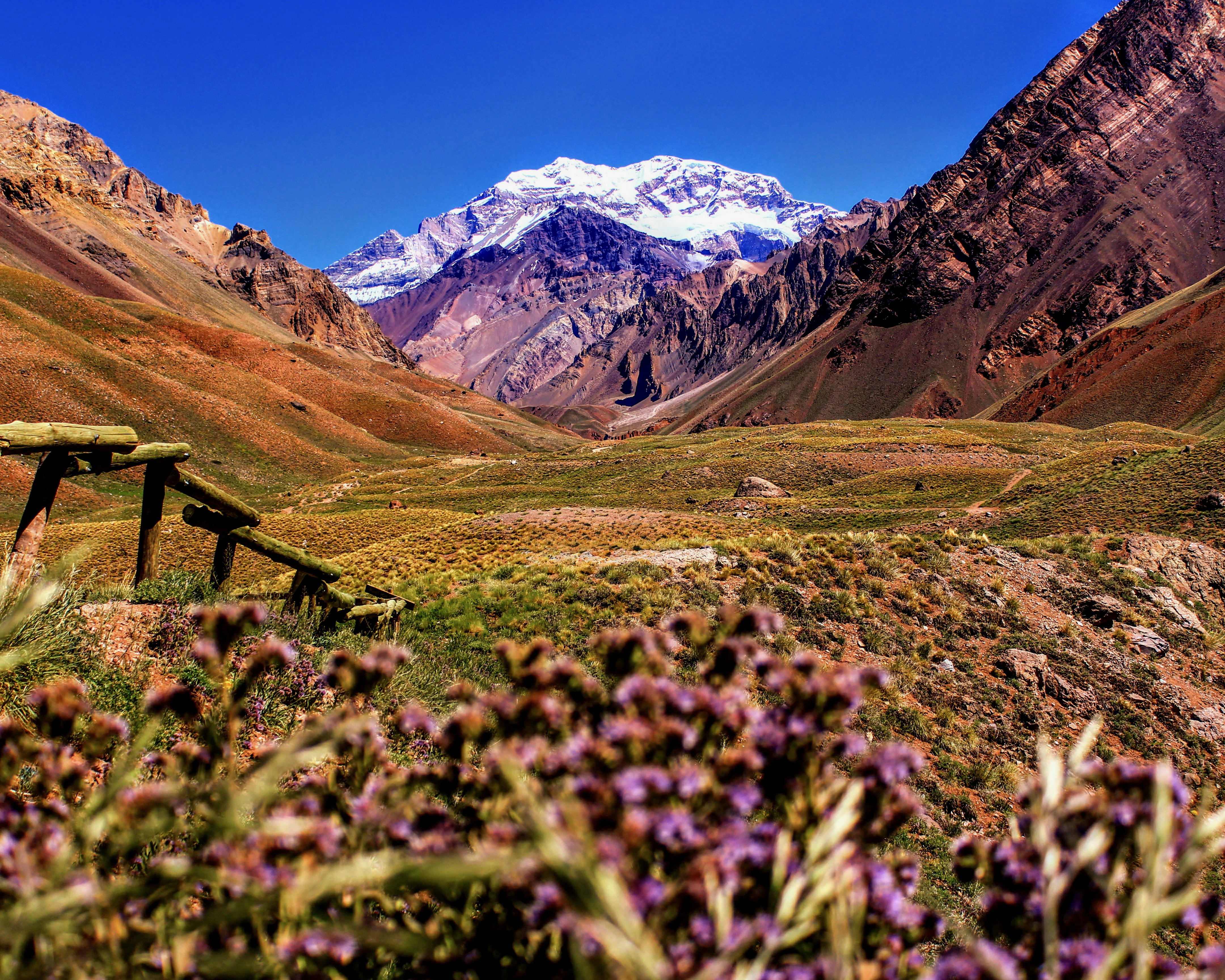 Essential Argentina Travel Guide 2025 Vibrant Cities and Scenic Wonders