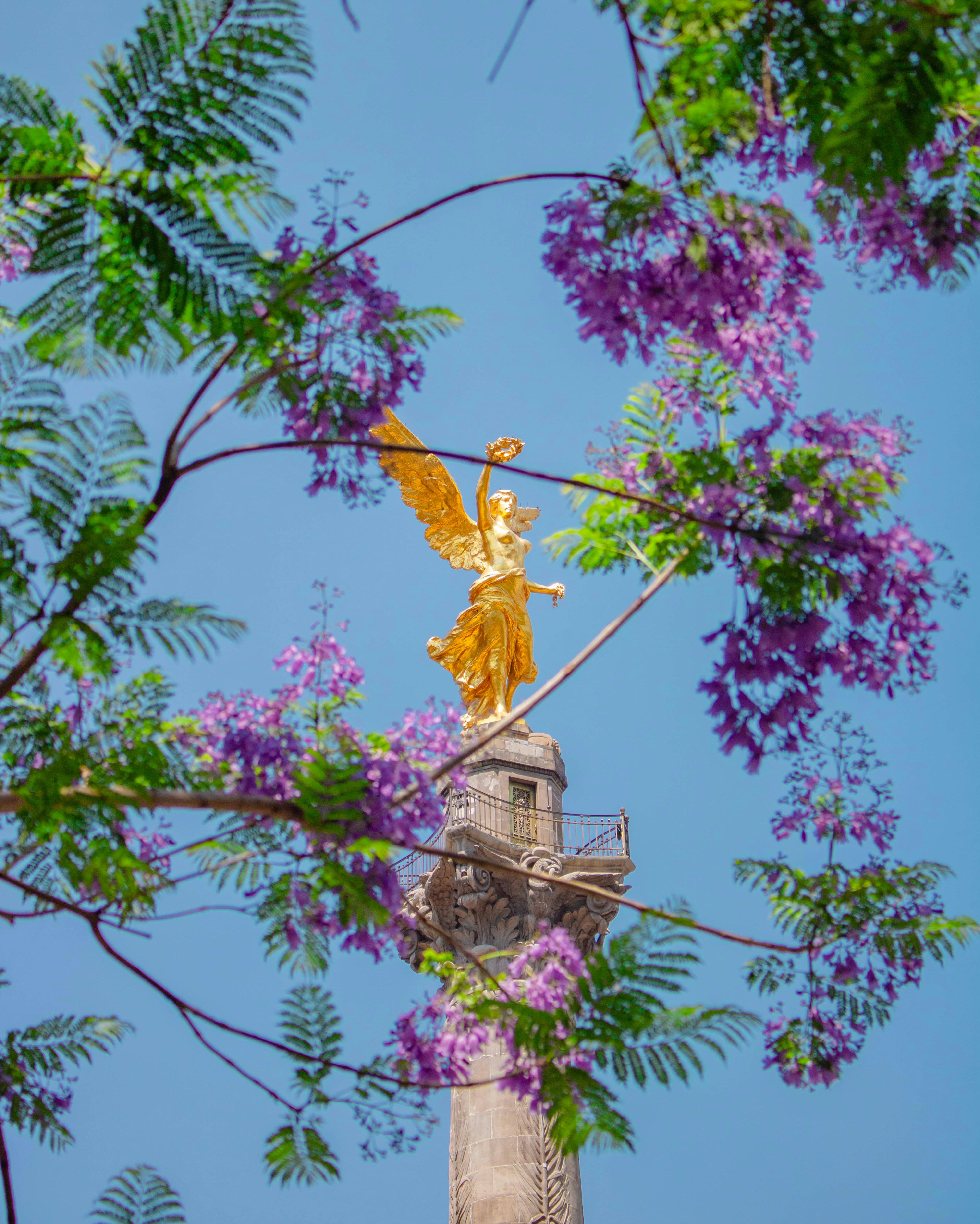 Semana del Arte en Ciudad de México