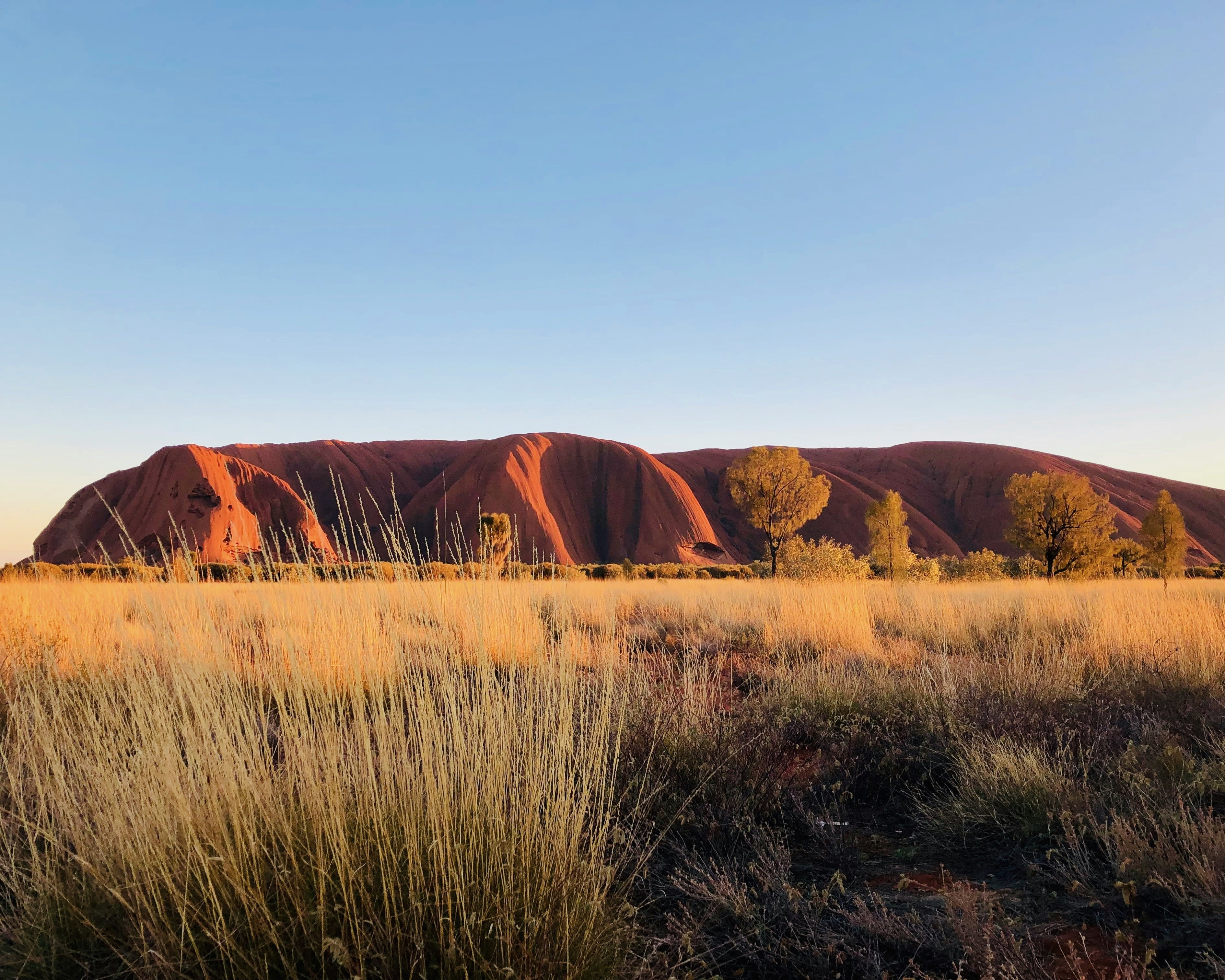 red mountains beside yellowish green tall grass under blue sky 
