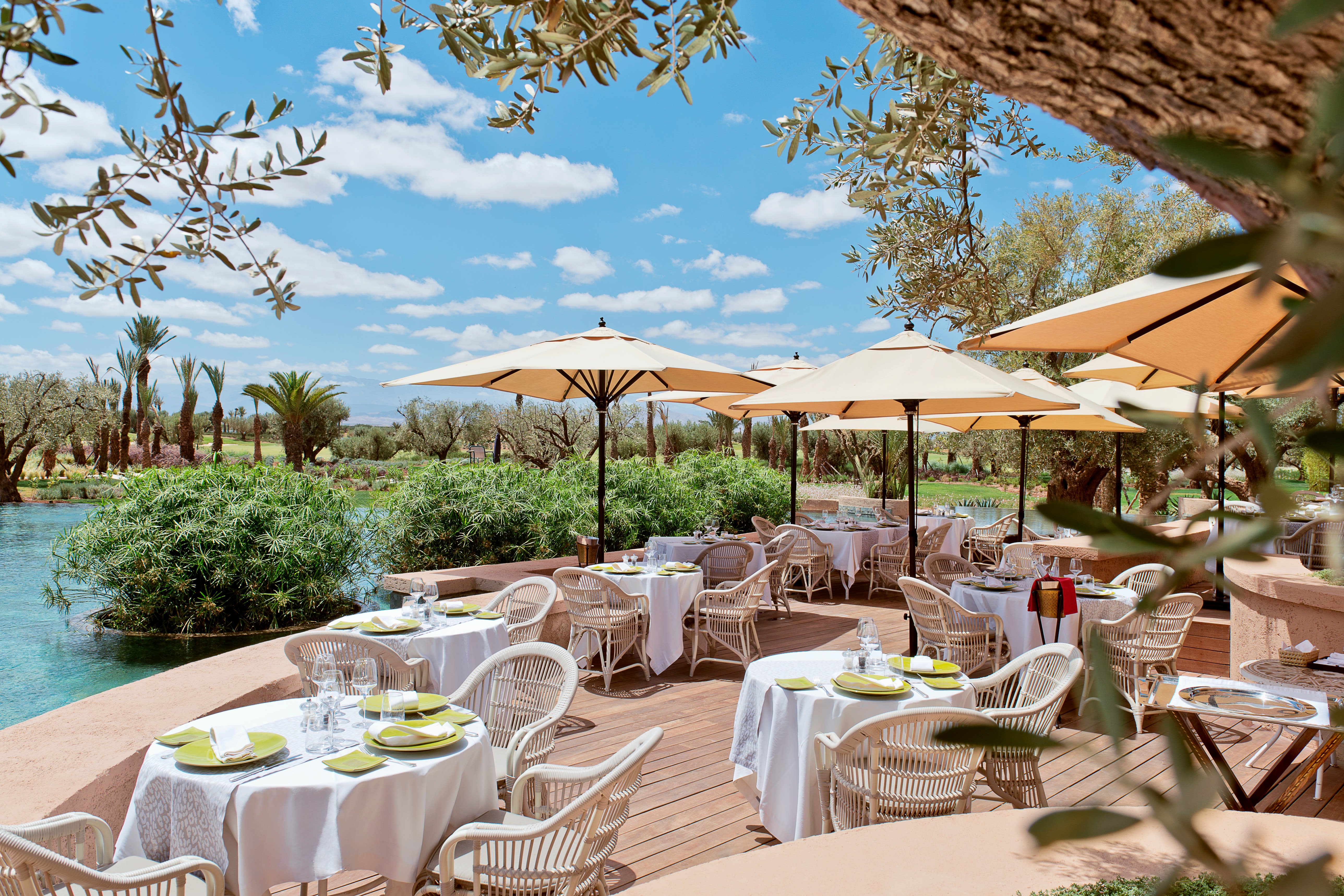 Sunlit outdoor dining terrace with white tablecloths and parasols, set beside a water feature and framed by olive trees under a bright blue sky.