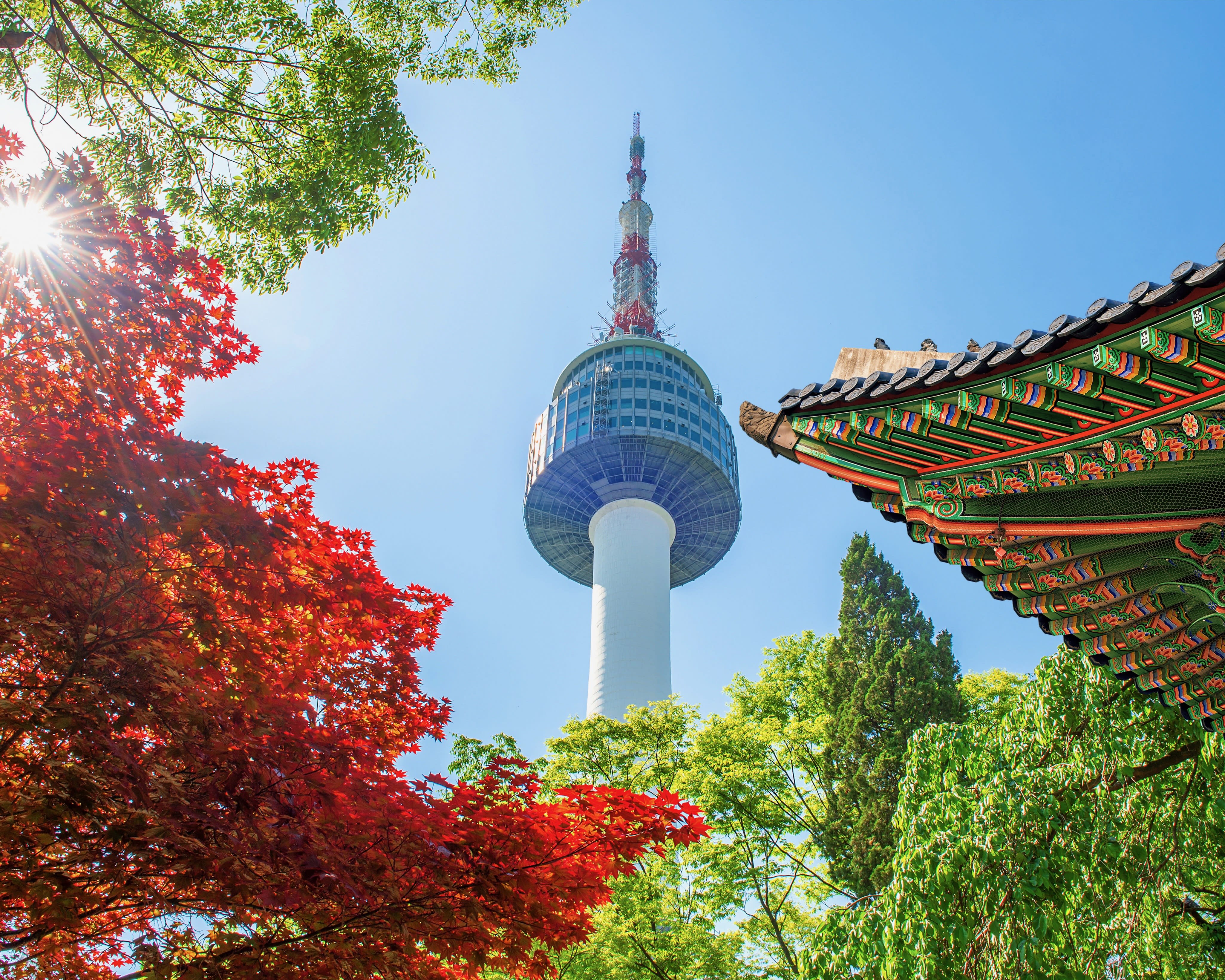a tall tower with observation deck above green and red trees with an Asian roof off to the side