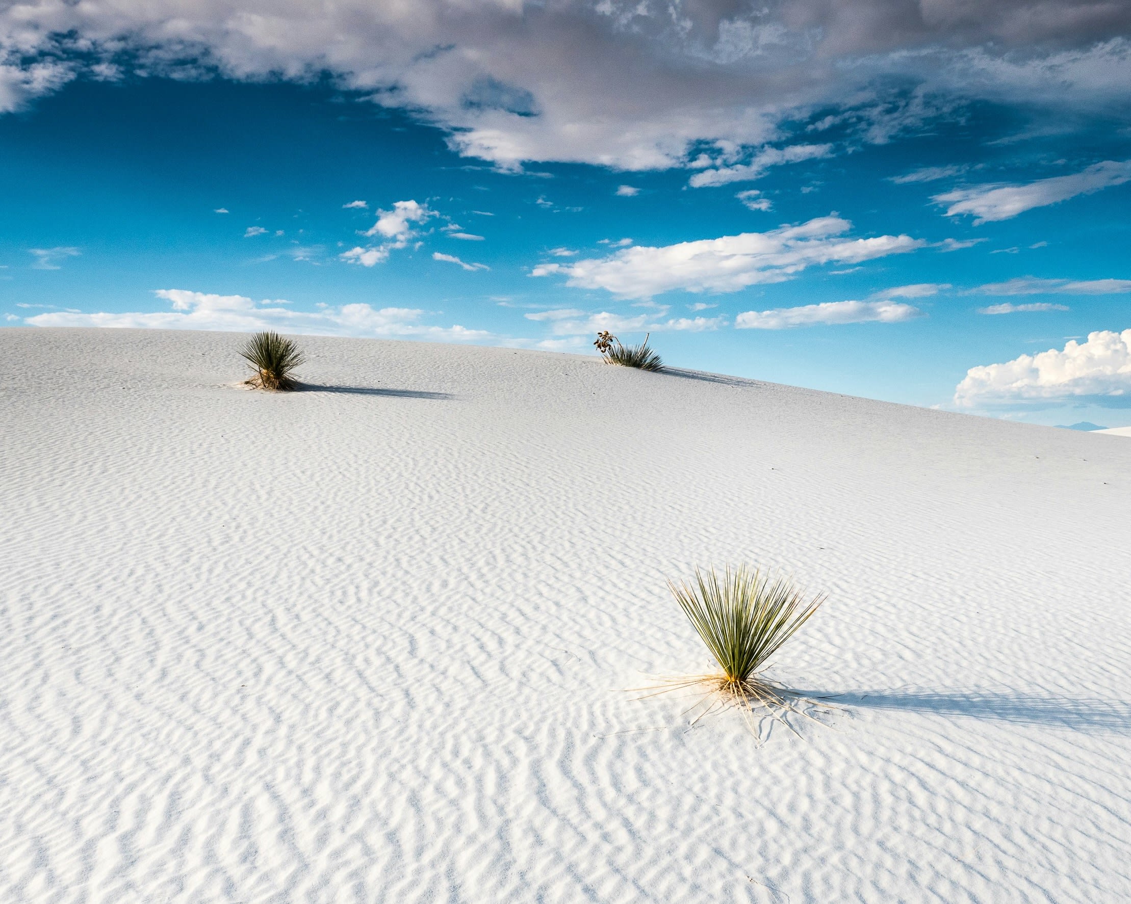 white sand dunes with green shrubs growing out of a few spots under a blue sky with clouds during day