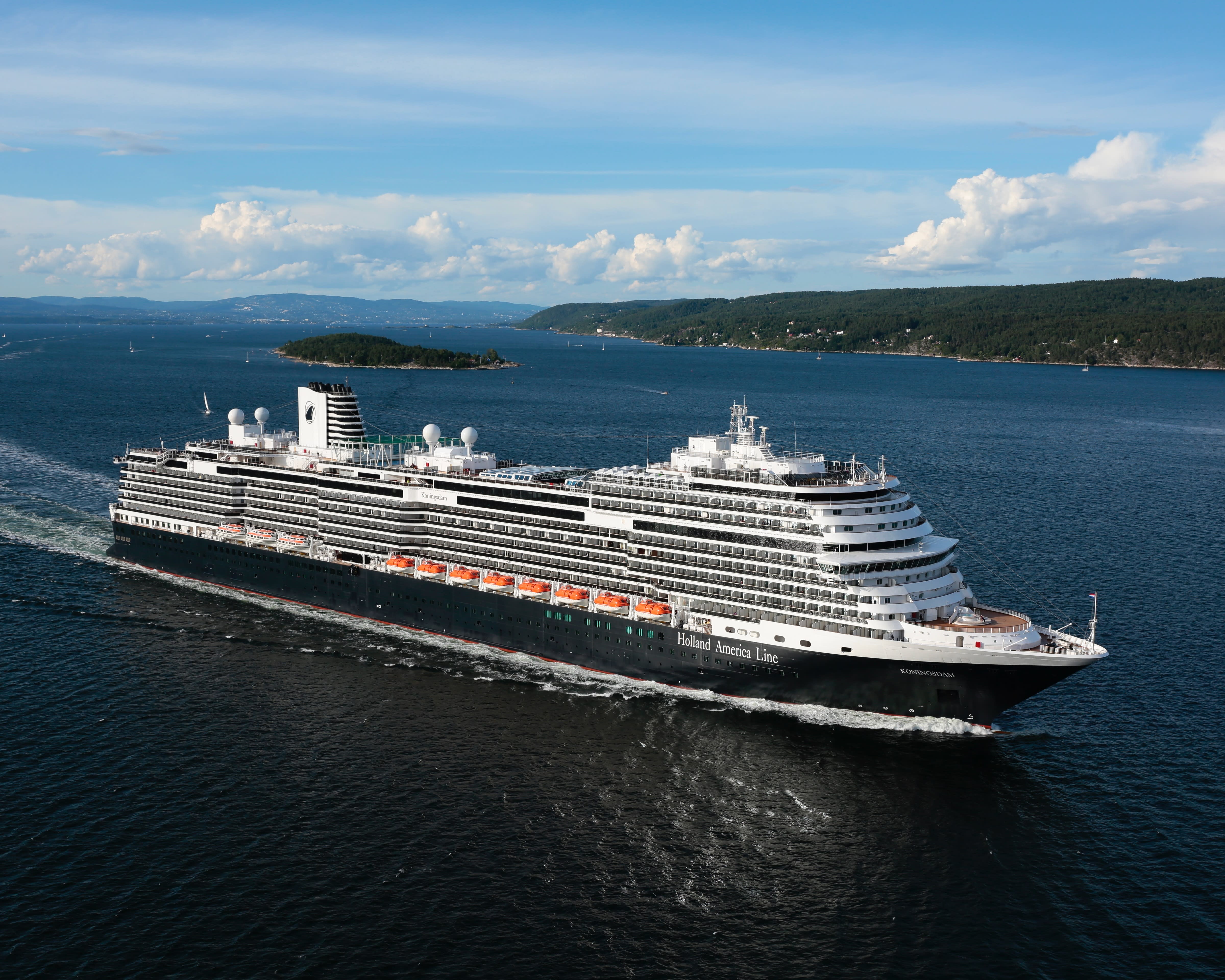White and black cruise ship sailing at sea off a green coast during day