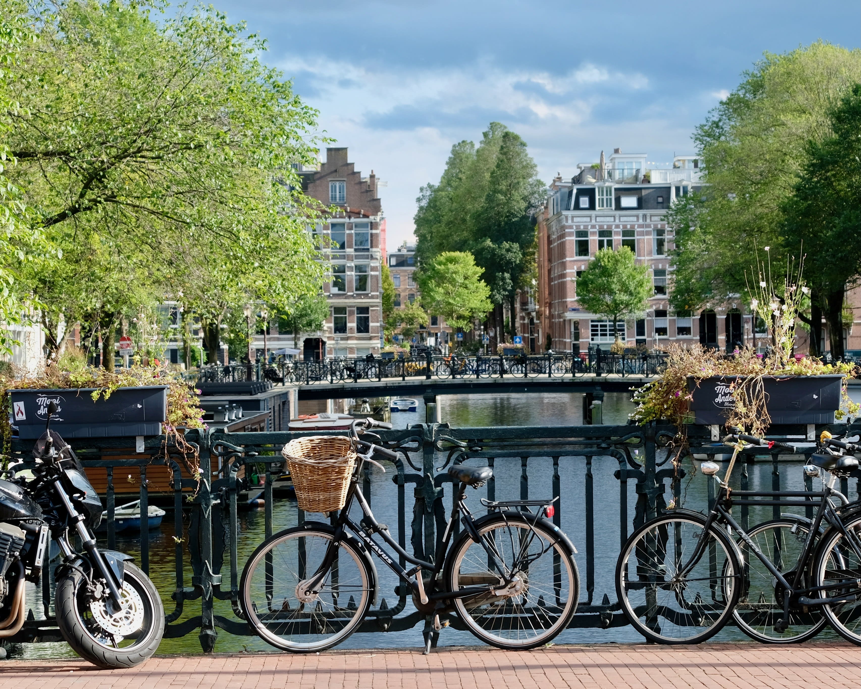 bikes leaning against a metal railing along a canal with trees and buildings in the background during day