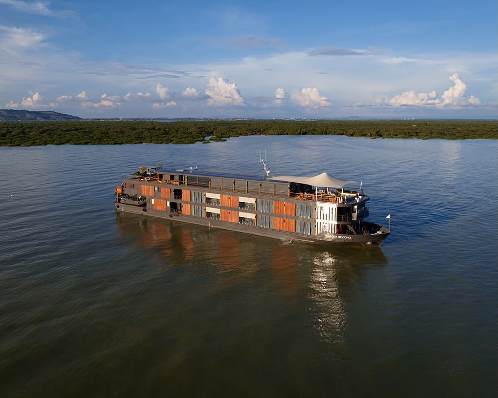 A black, white and tan cruise ship in a bay during day with tropical green forest behind