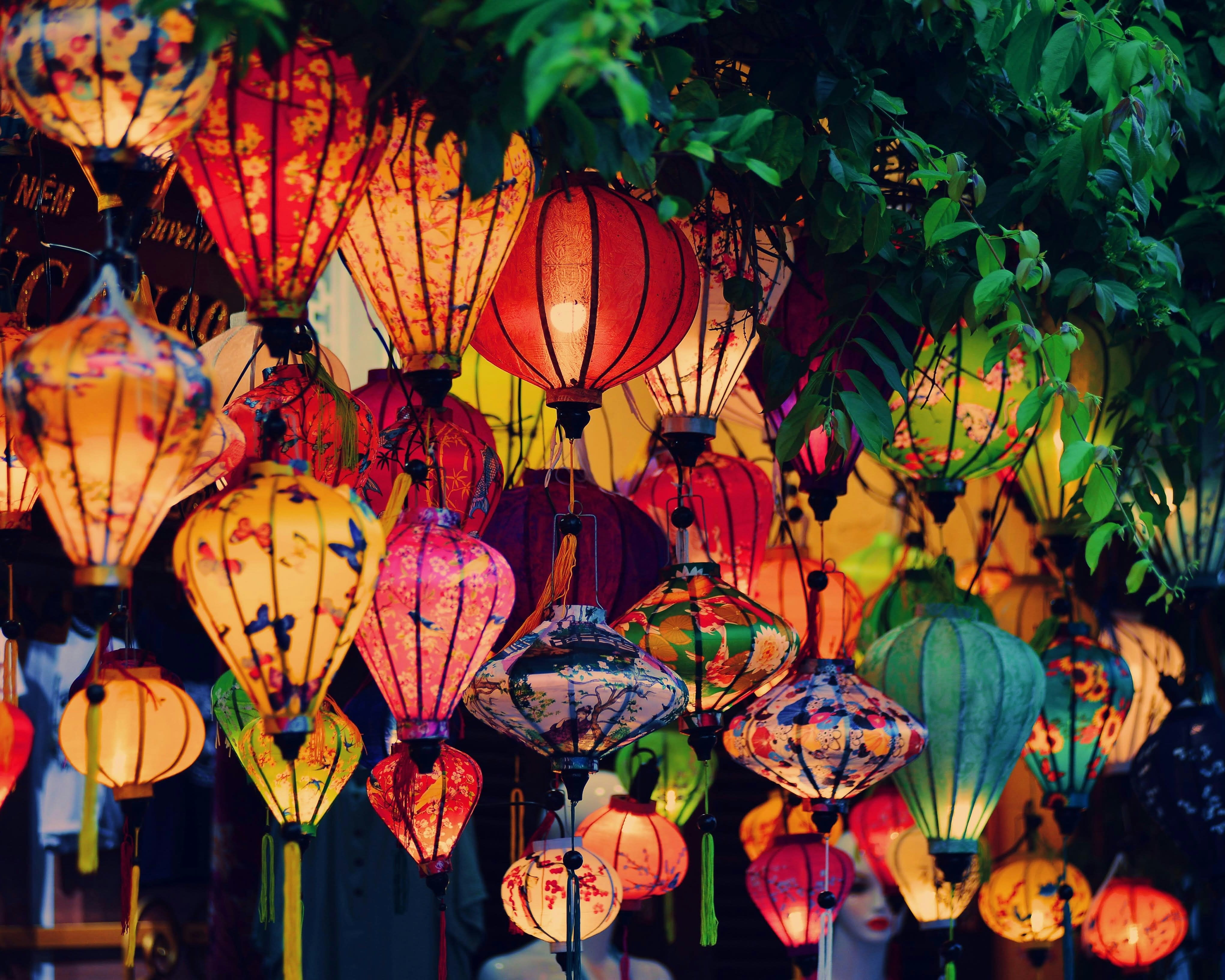 colorful lanterns hanging from tree branches