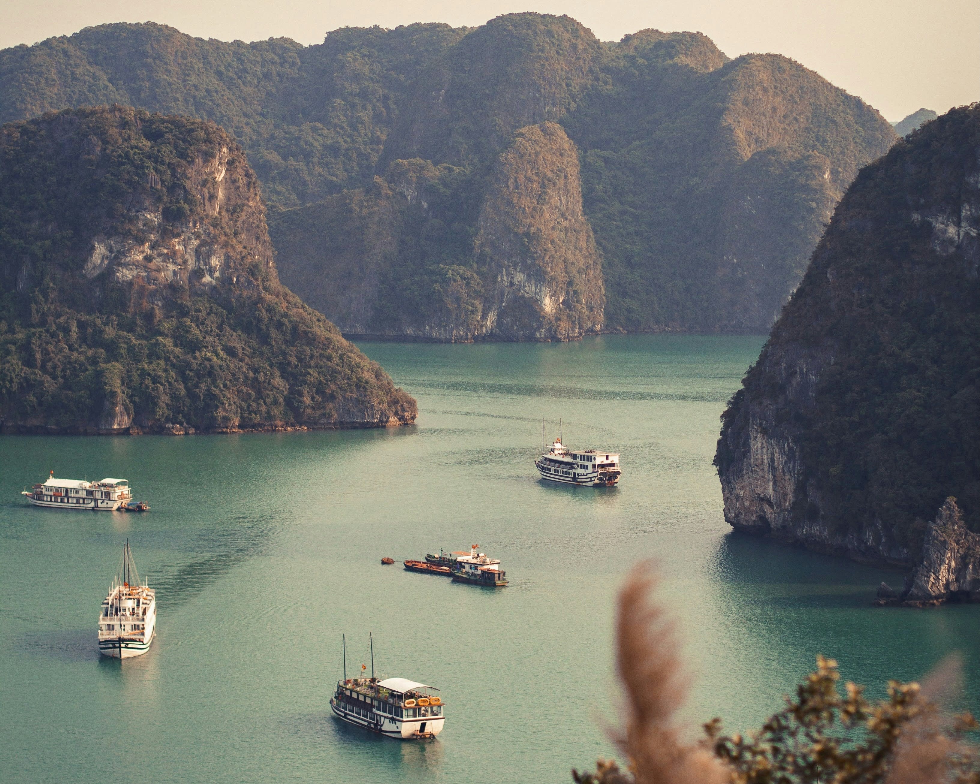 boats in a green bay with tall tree covered white cliffs during day