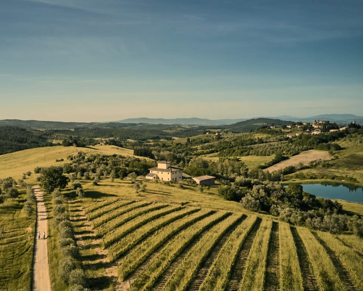 couple riding bikes along dirt path in green countryside next to rolling vineyards