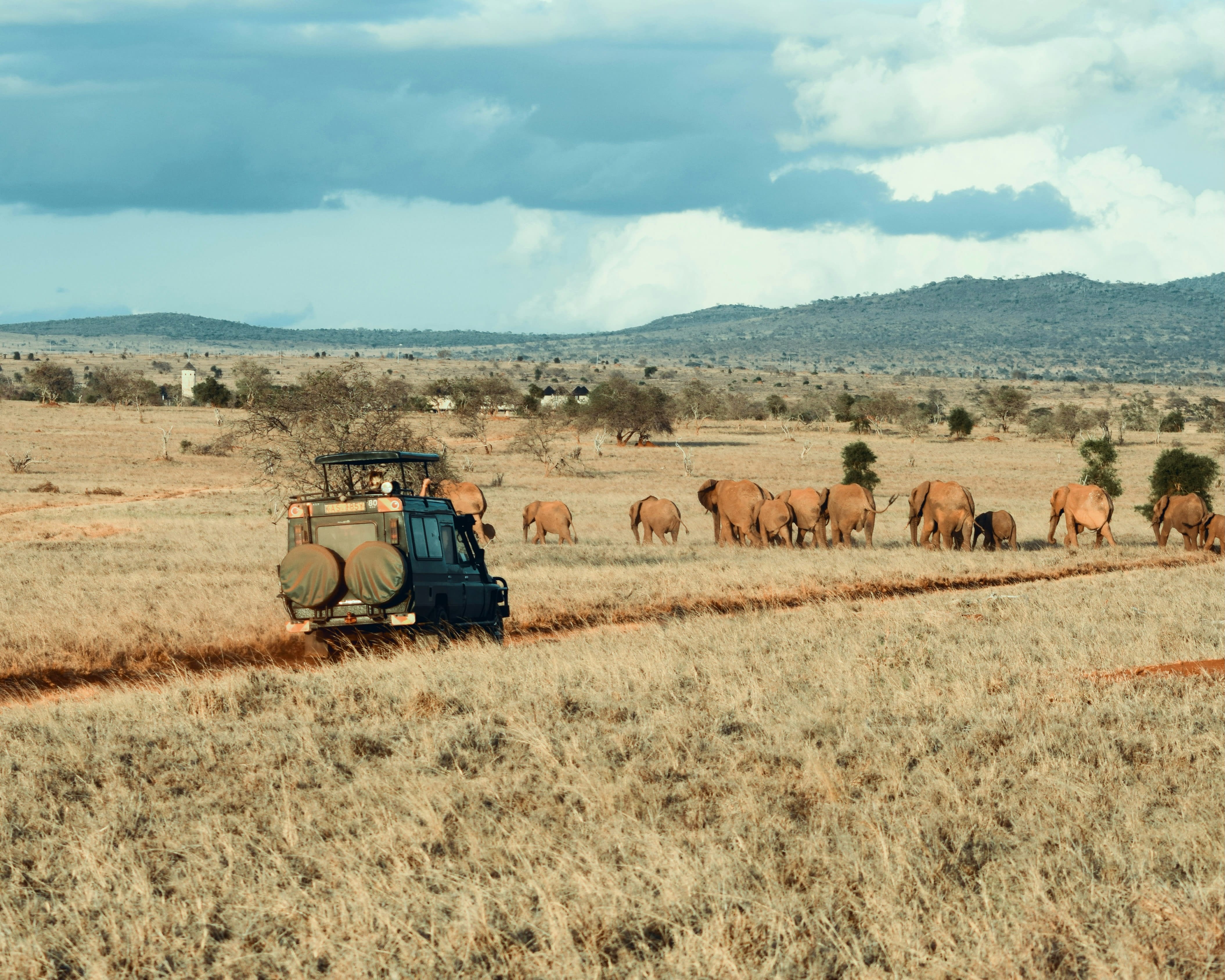 safari jeep on dirt road surrounded by grazing elephants on green grass with mountains and clouds in the distance