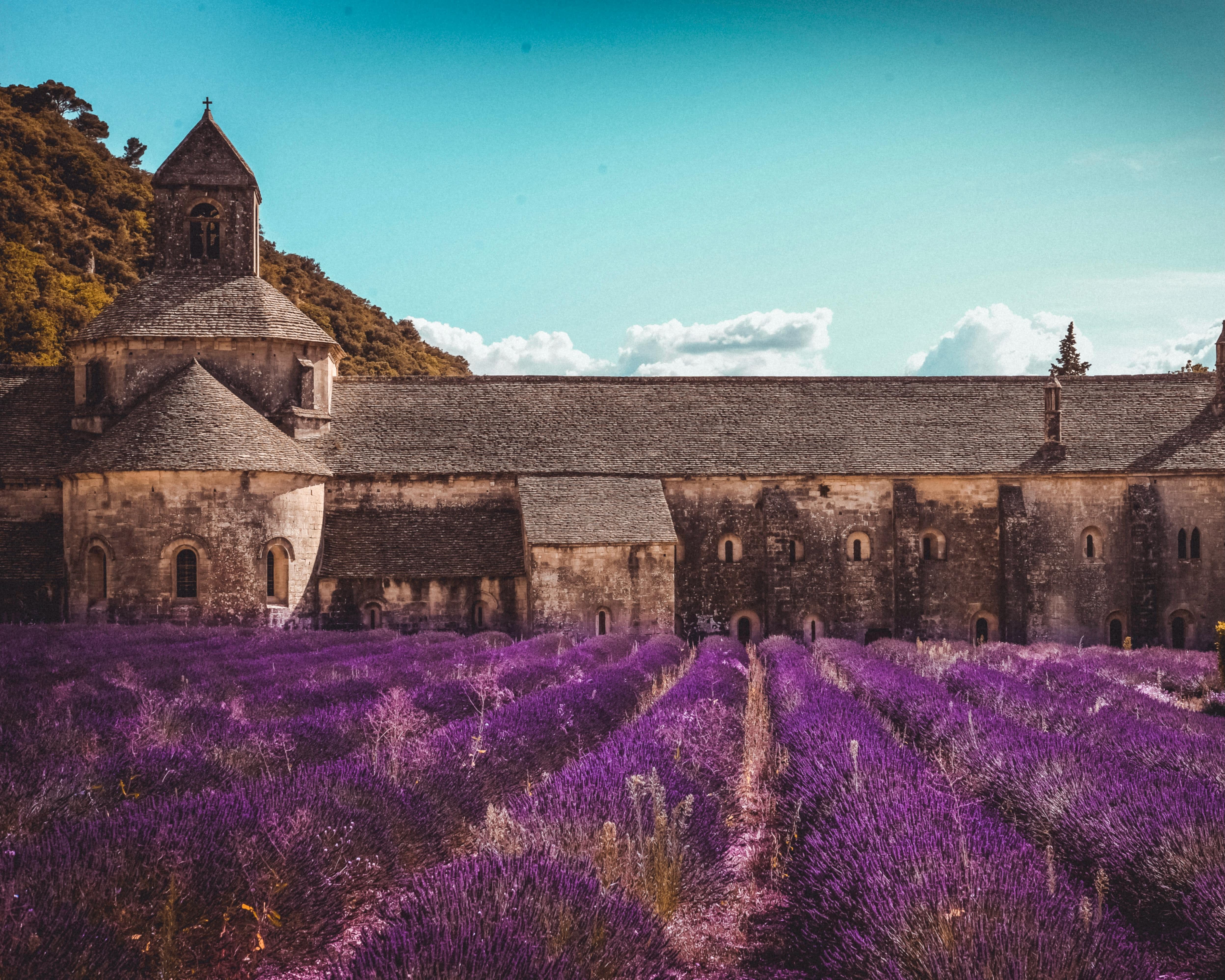 a purple lavender field in front of a large, historic stone building during day