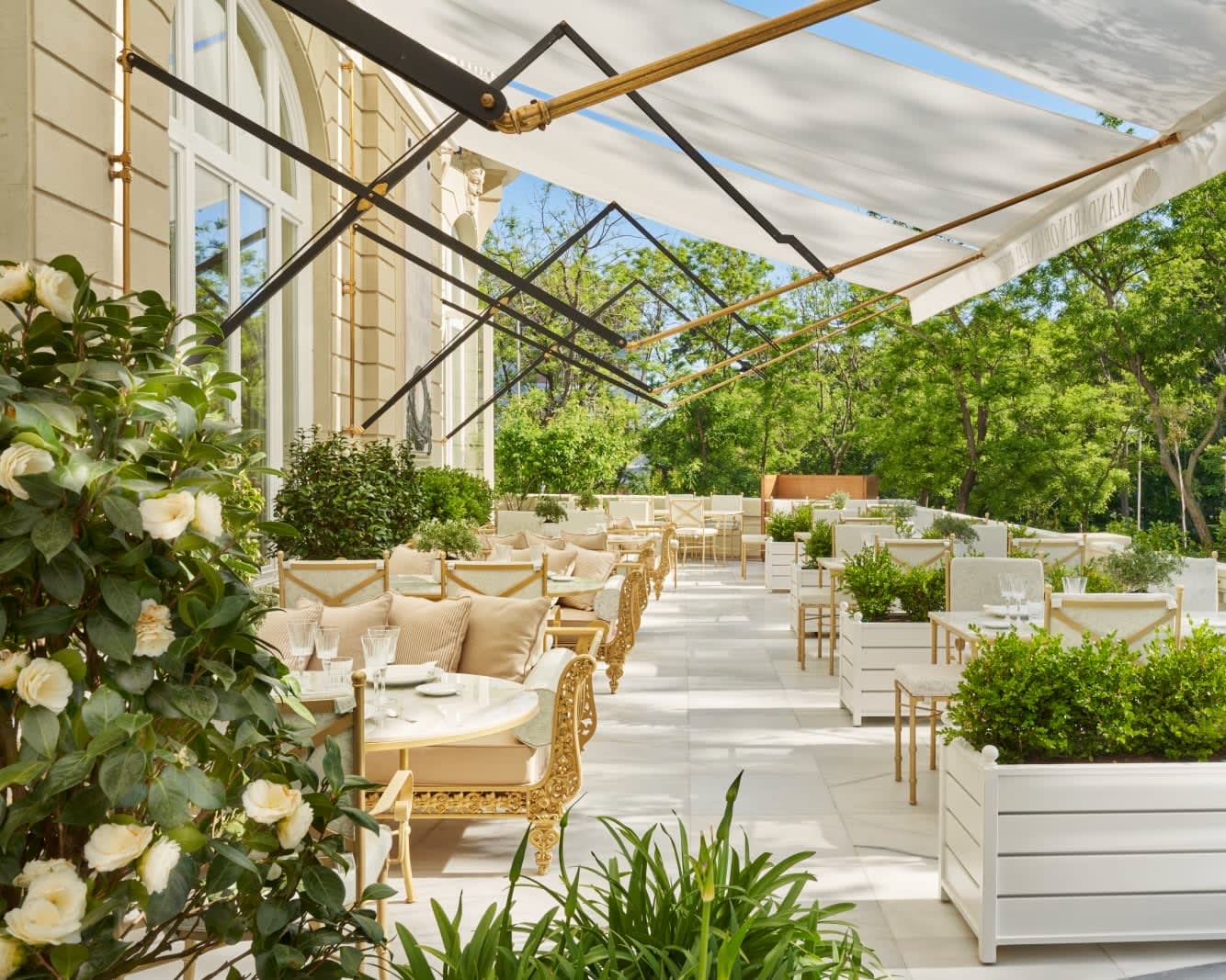 outdoor terrace with potted shrubs and flowers, and white tables and chairs