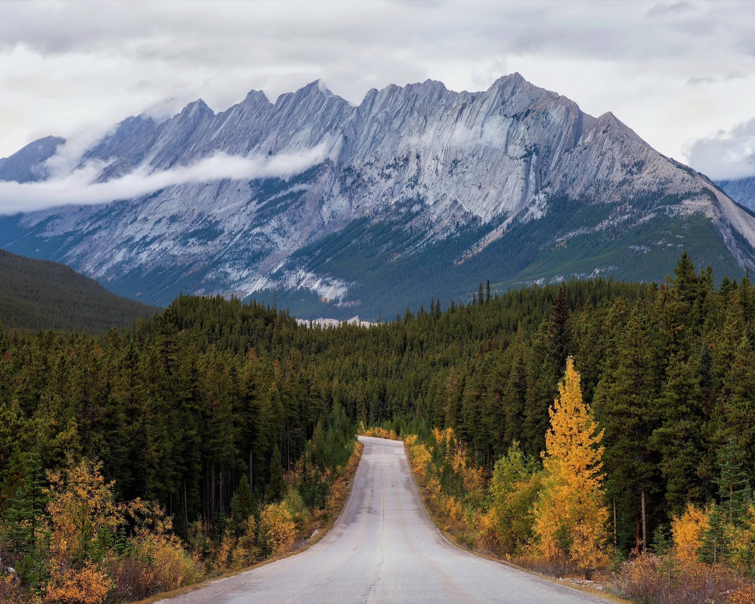 a road flanked by yellow and green trees leading to a tall snow capped grey rock mountain