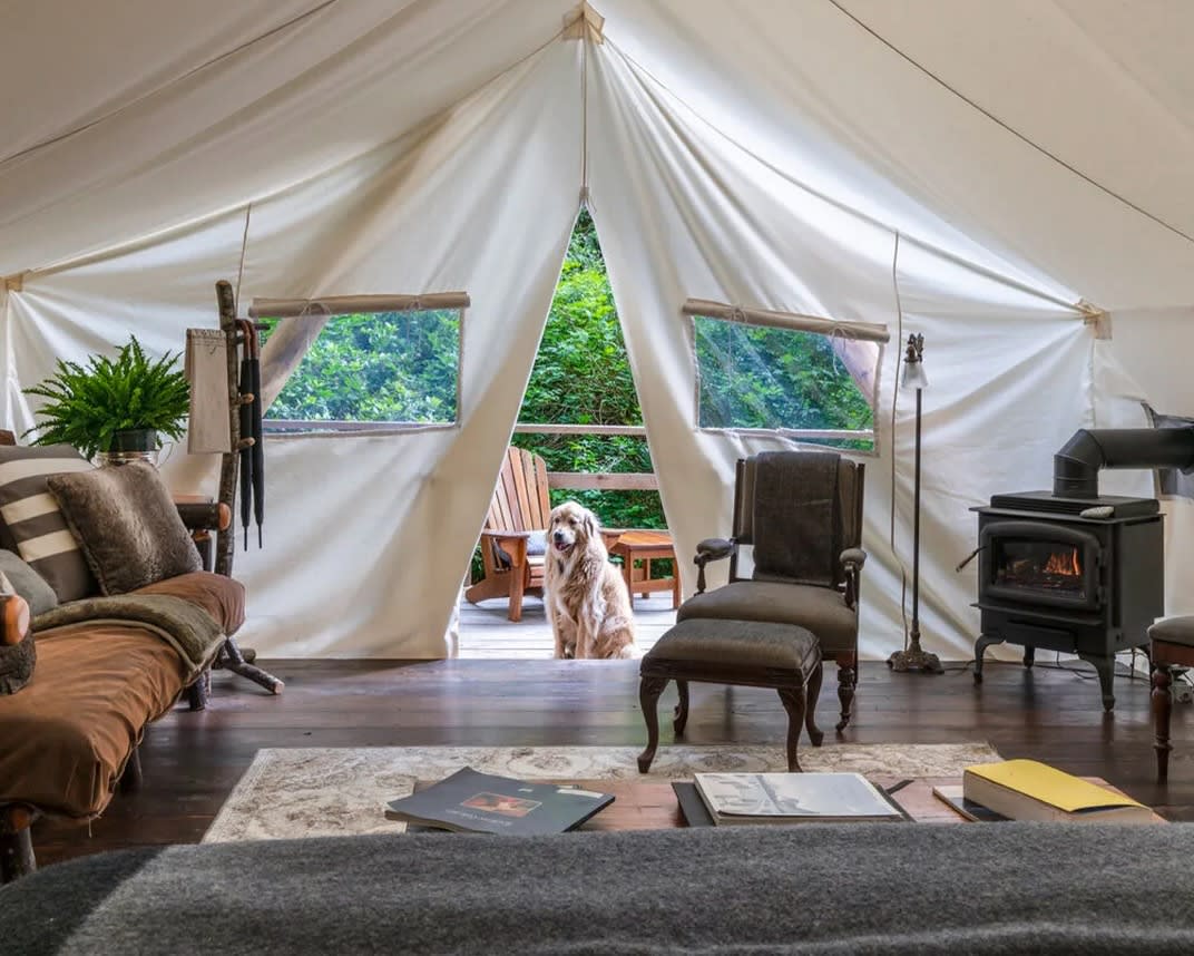 a tent with a well appointed seating area and trees outside