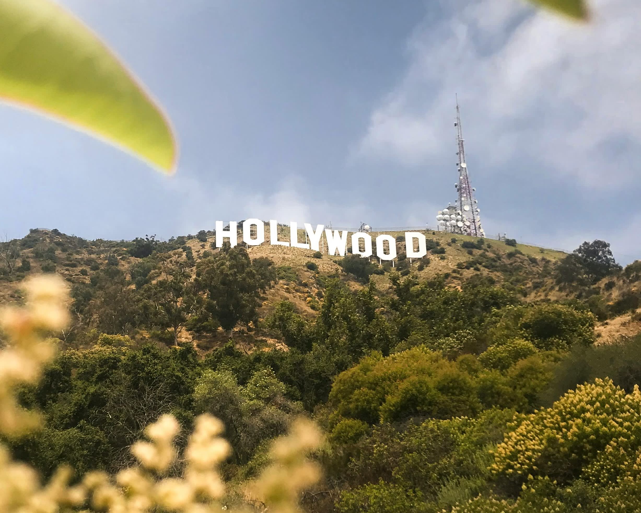 hollywood sign on the top of a green hill under blue sky