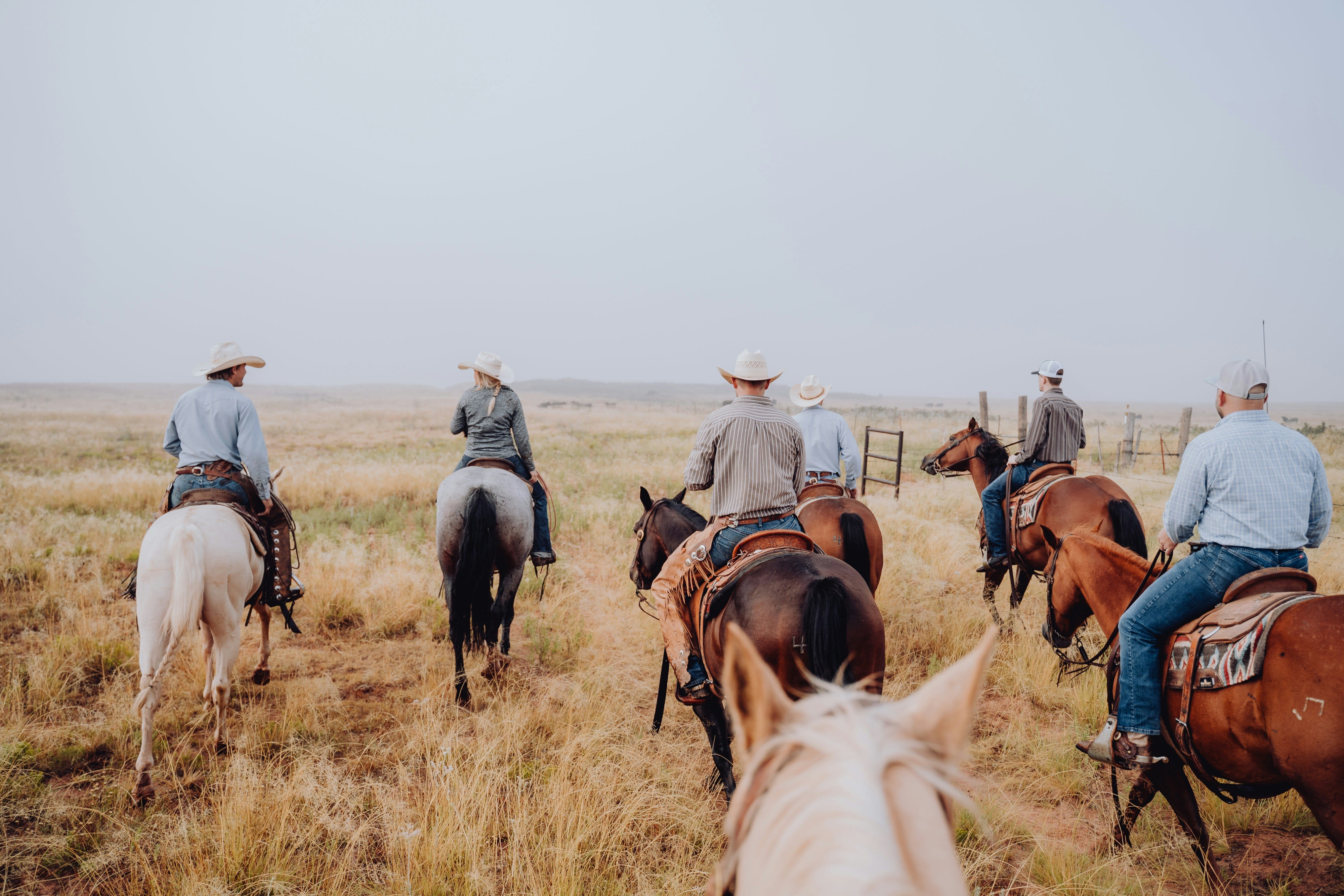 A group of adults horseback riding