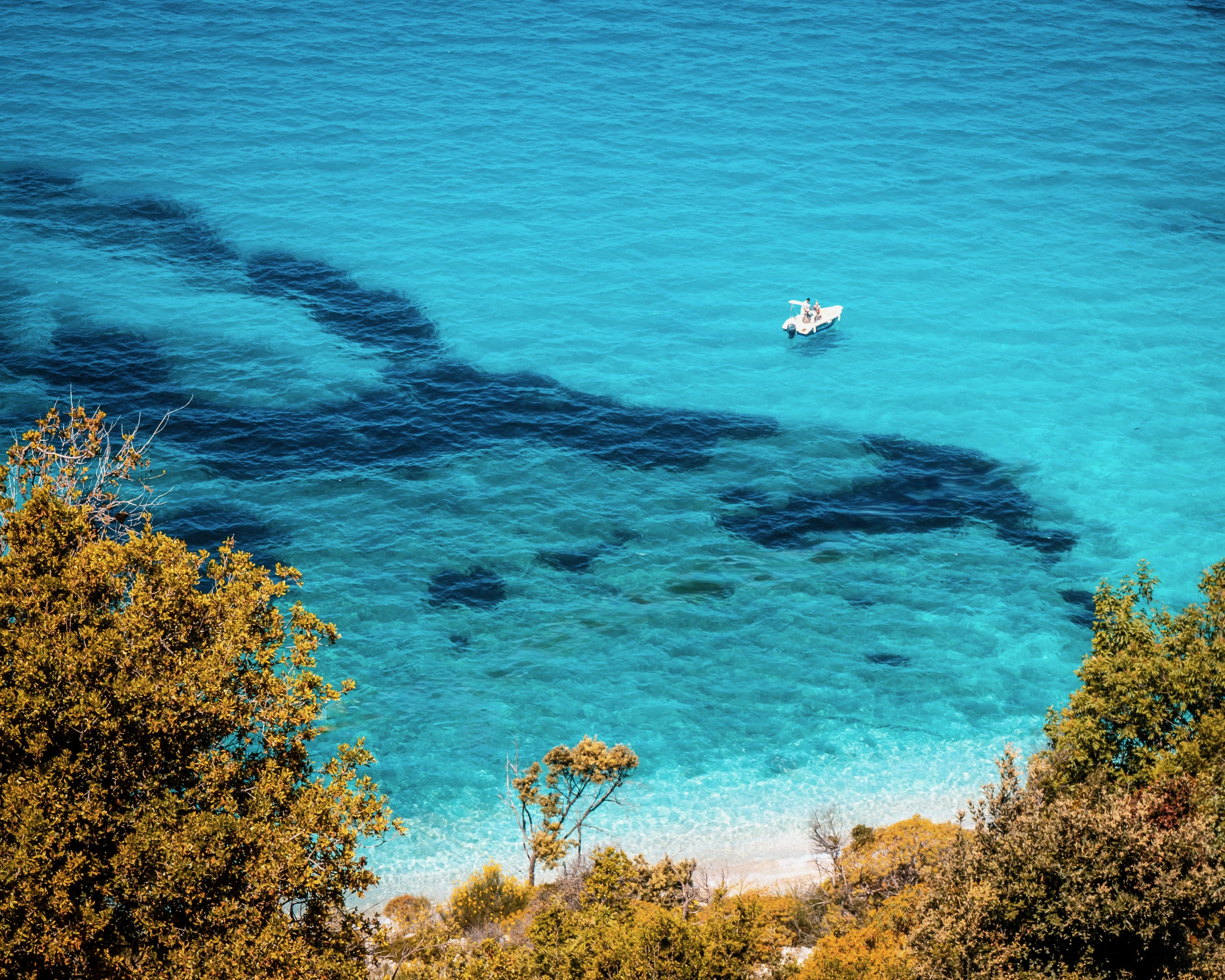 a boat offshore in clear turquoise waters near a tree lined beach