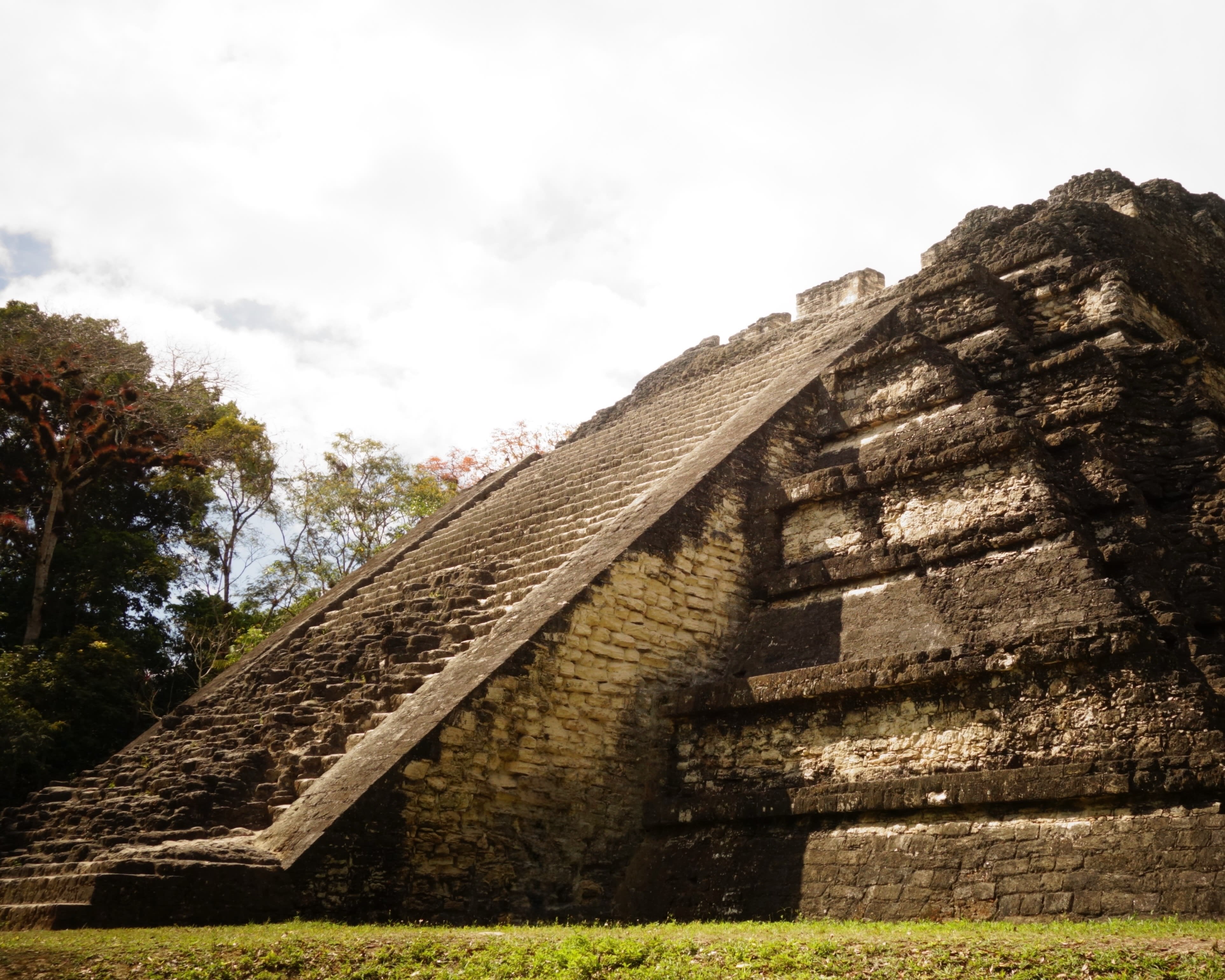pyramid ruins in the jungle rising toward a sunlit sky