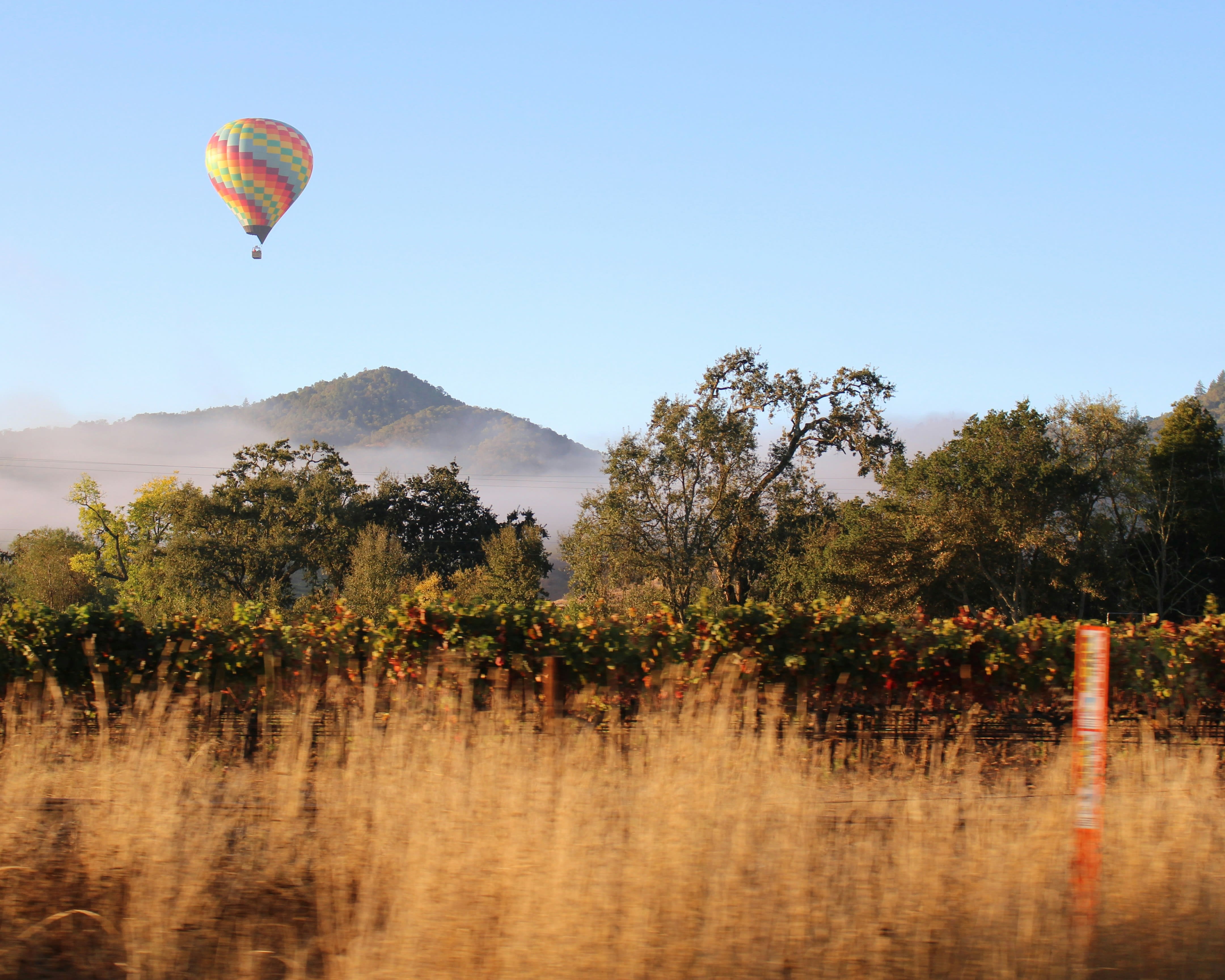 hot air balloon over a vineyard during sunrise with mountains in the background