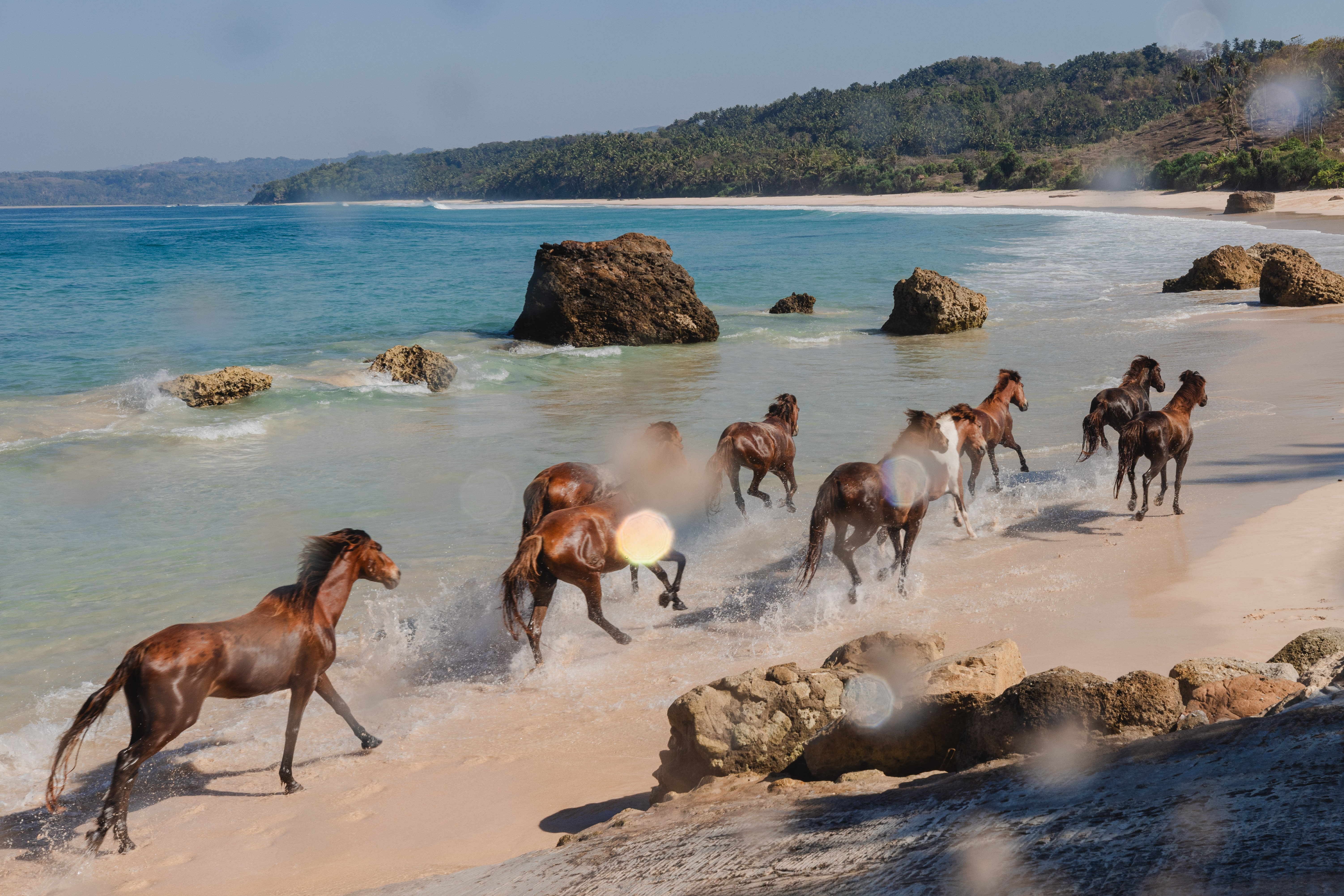 Horses run on the beach at Nihi Sumba