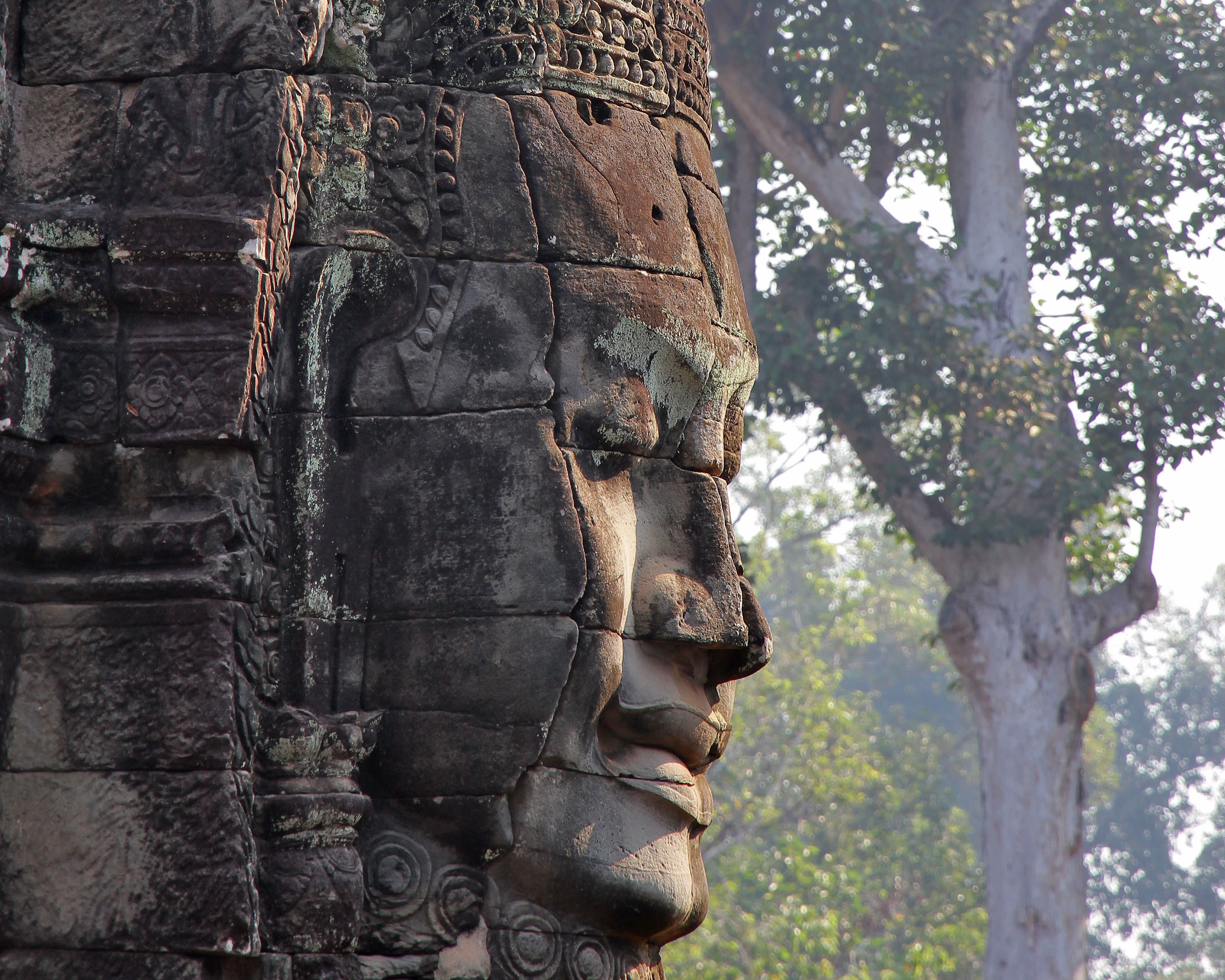 giant stone carved face with trees in the background during day