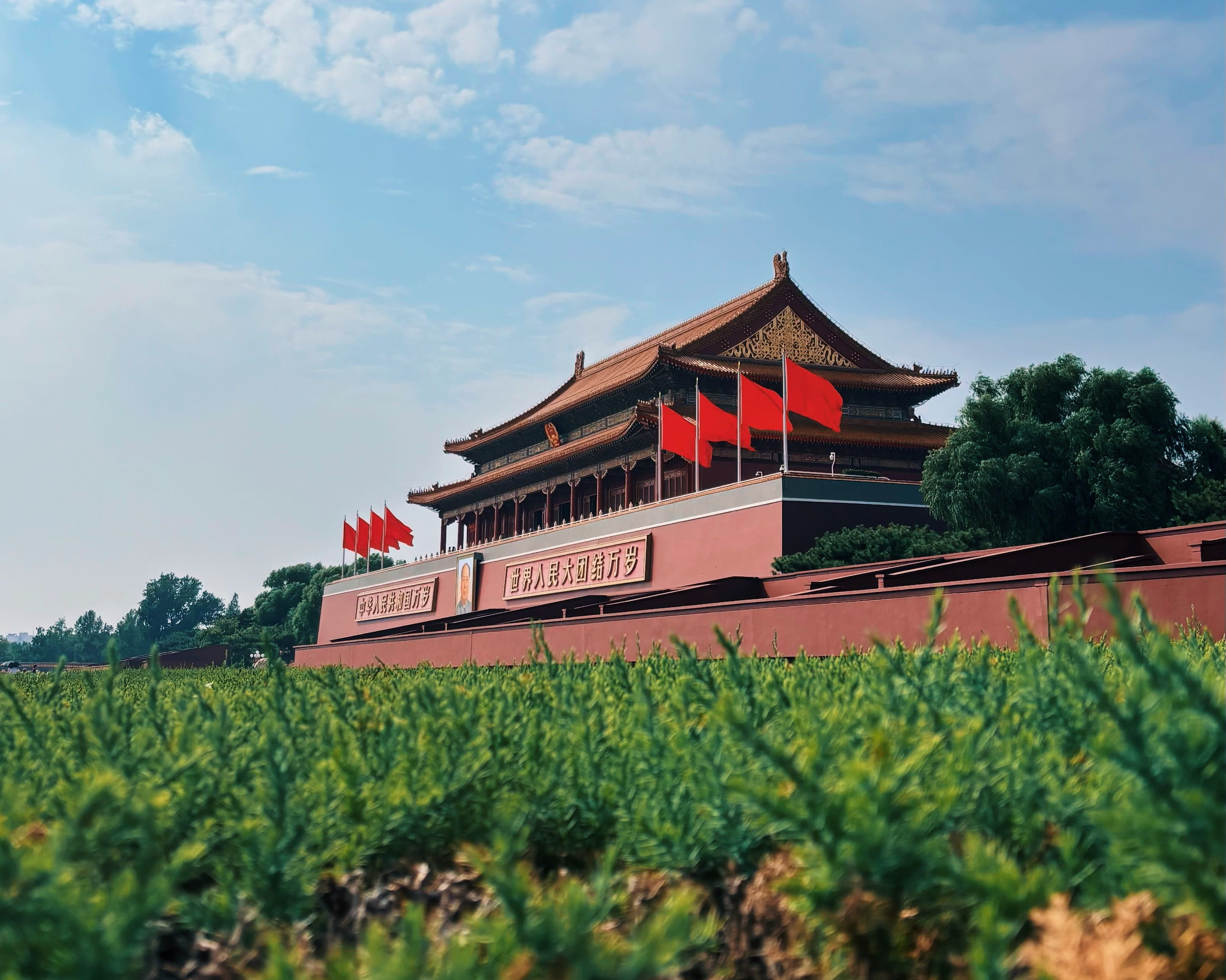 red and brown fortress with flags next to green grass