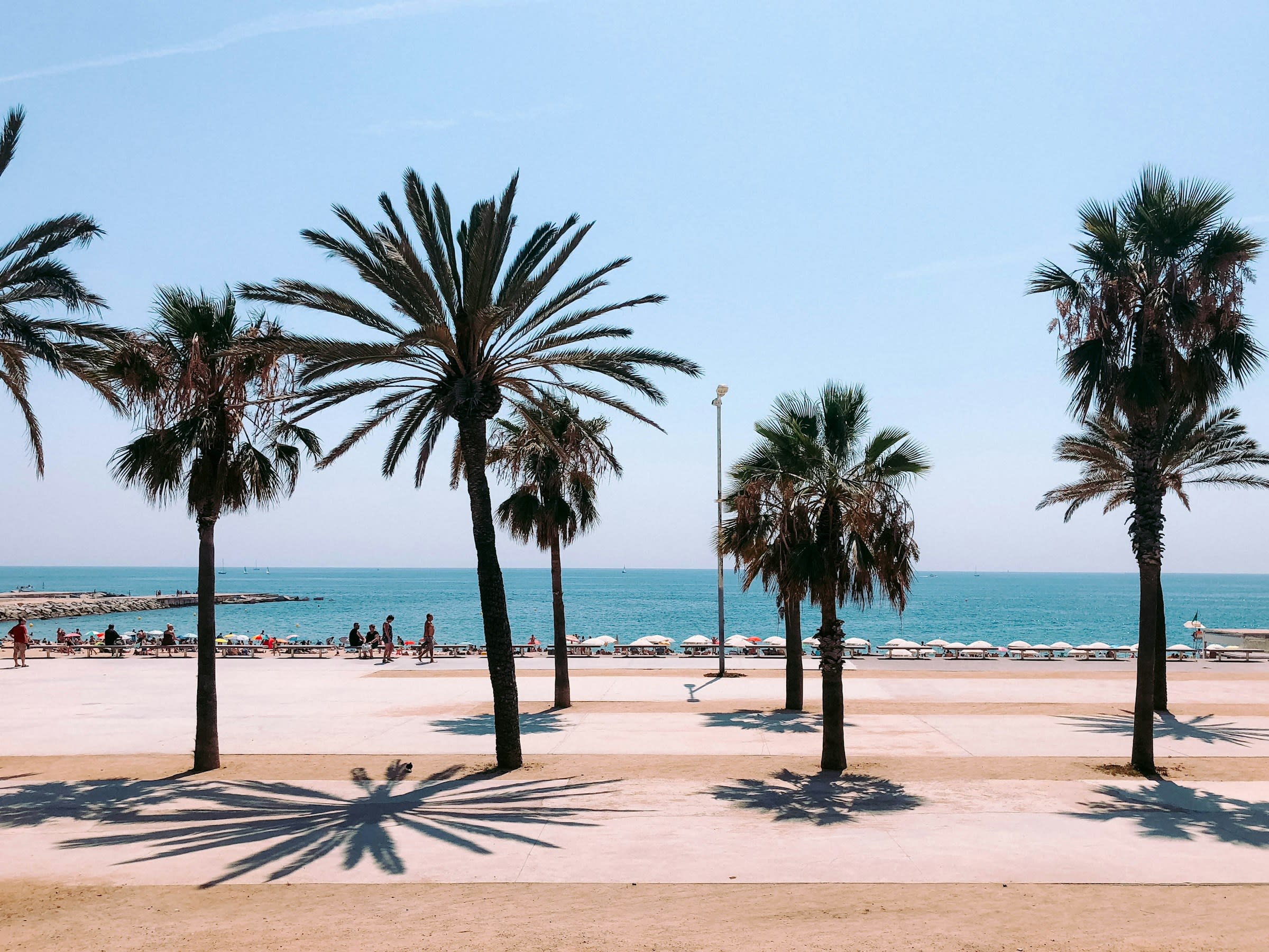 Palm trees line a beach walkway that runs parallel with the Mediterranean sea
