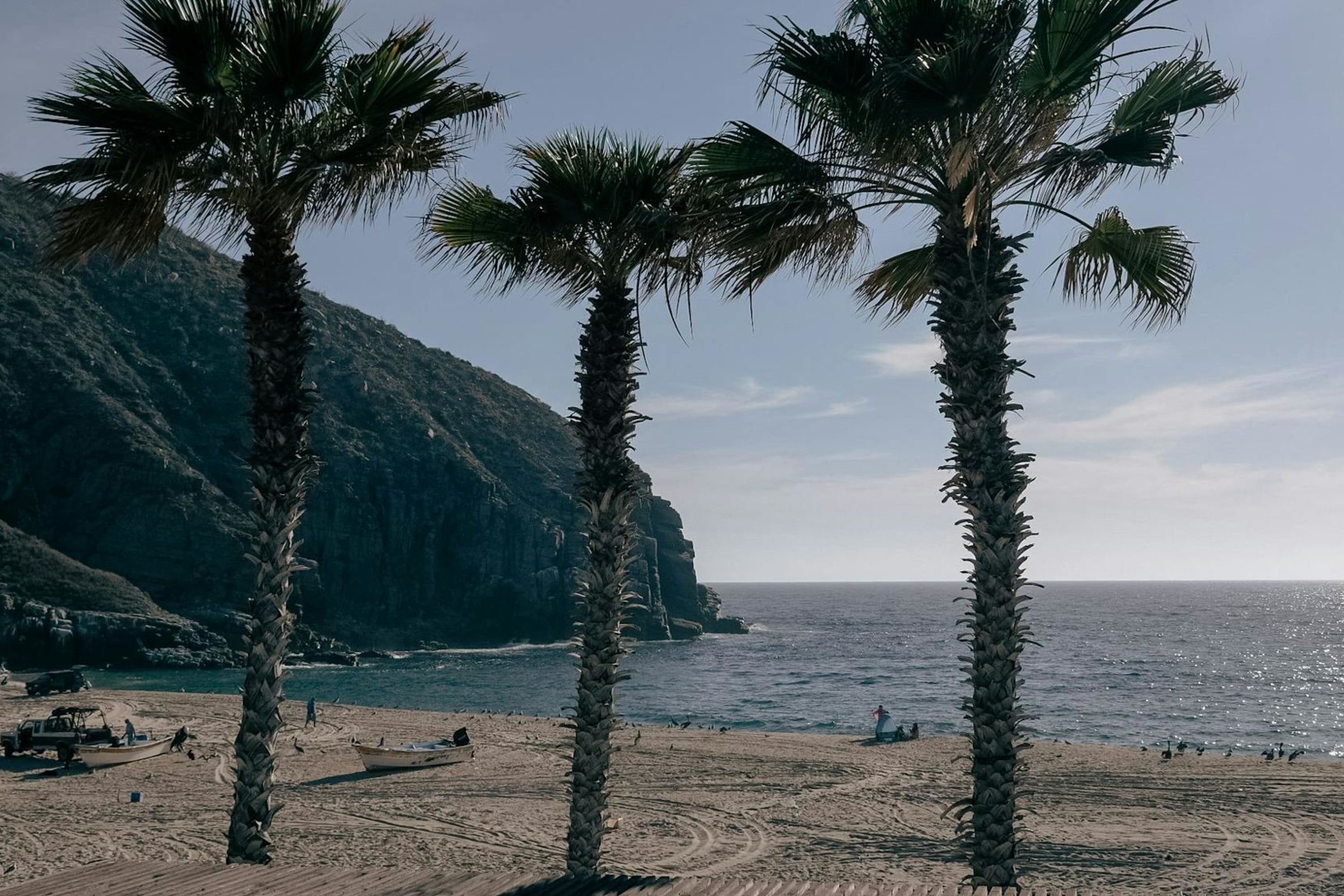 Palms grace a largely empty beach with calm waters and a large hill in the distance. A few small boats are beached.