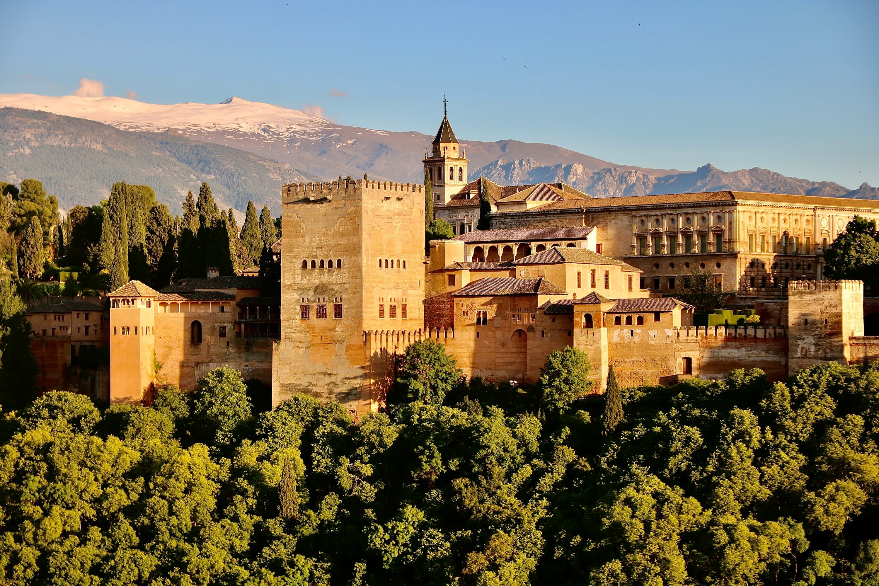 Golden light illuminates the Alhambra fortress, which is surrounded by lush forest