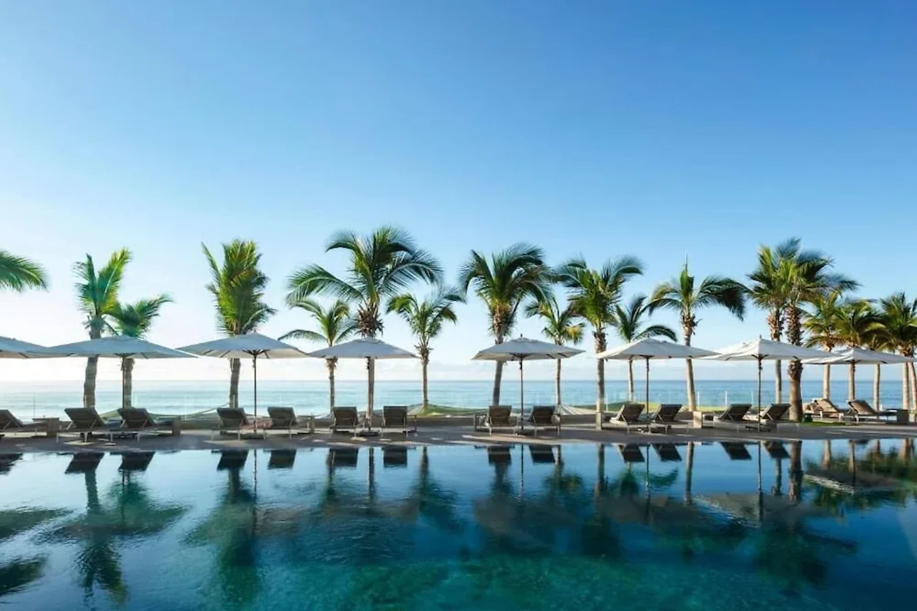 A chic pool area separated from the ocean by a palm tree-lined barrier