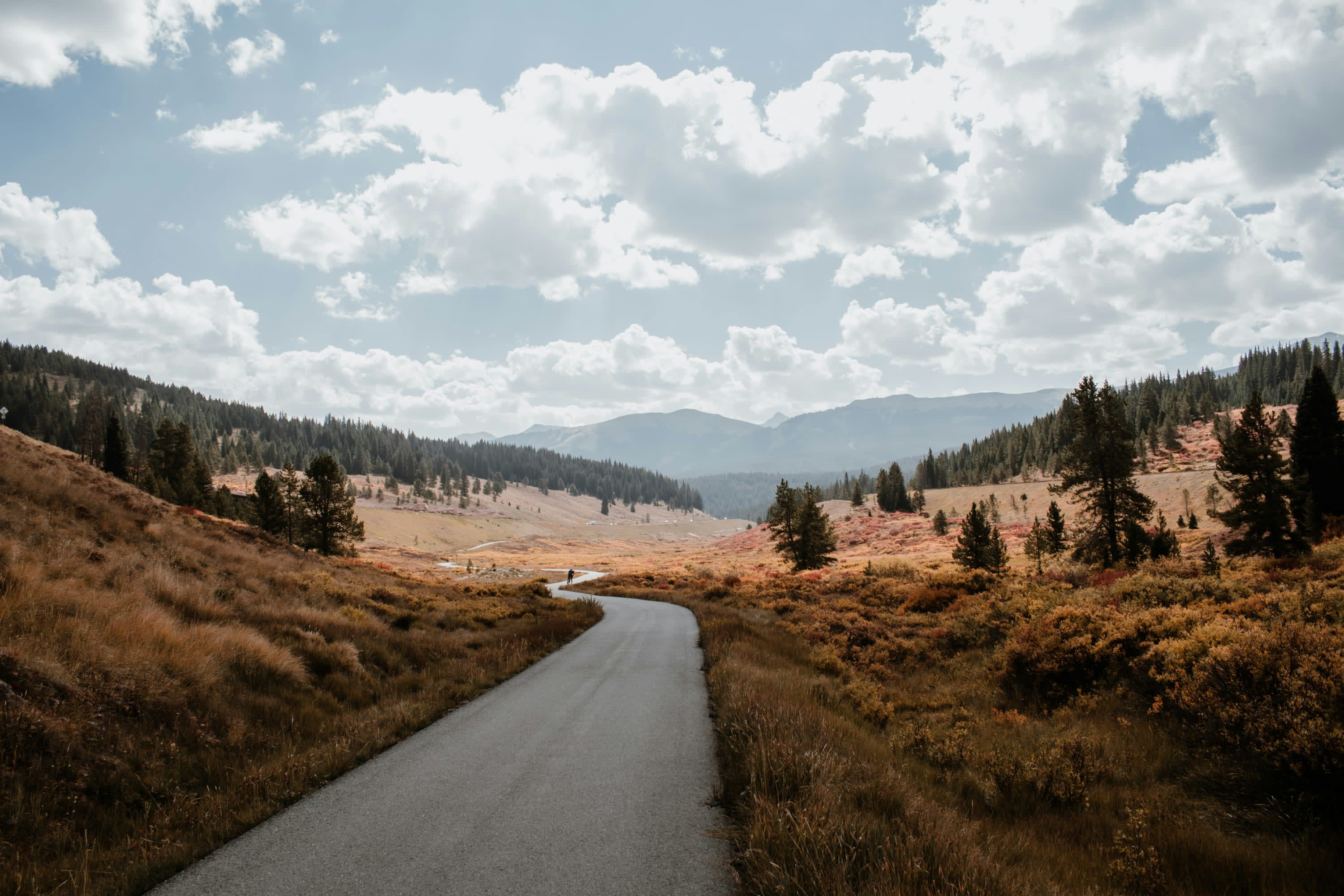 A narrow street bisecting brown plains and green pines through a beautiful valley