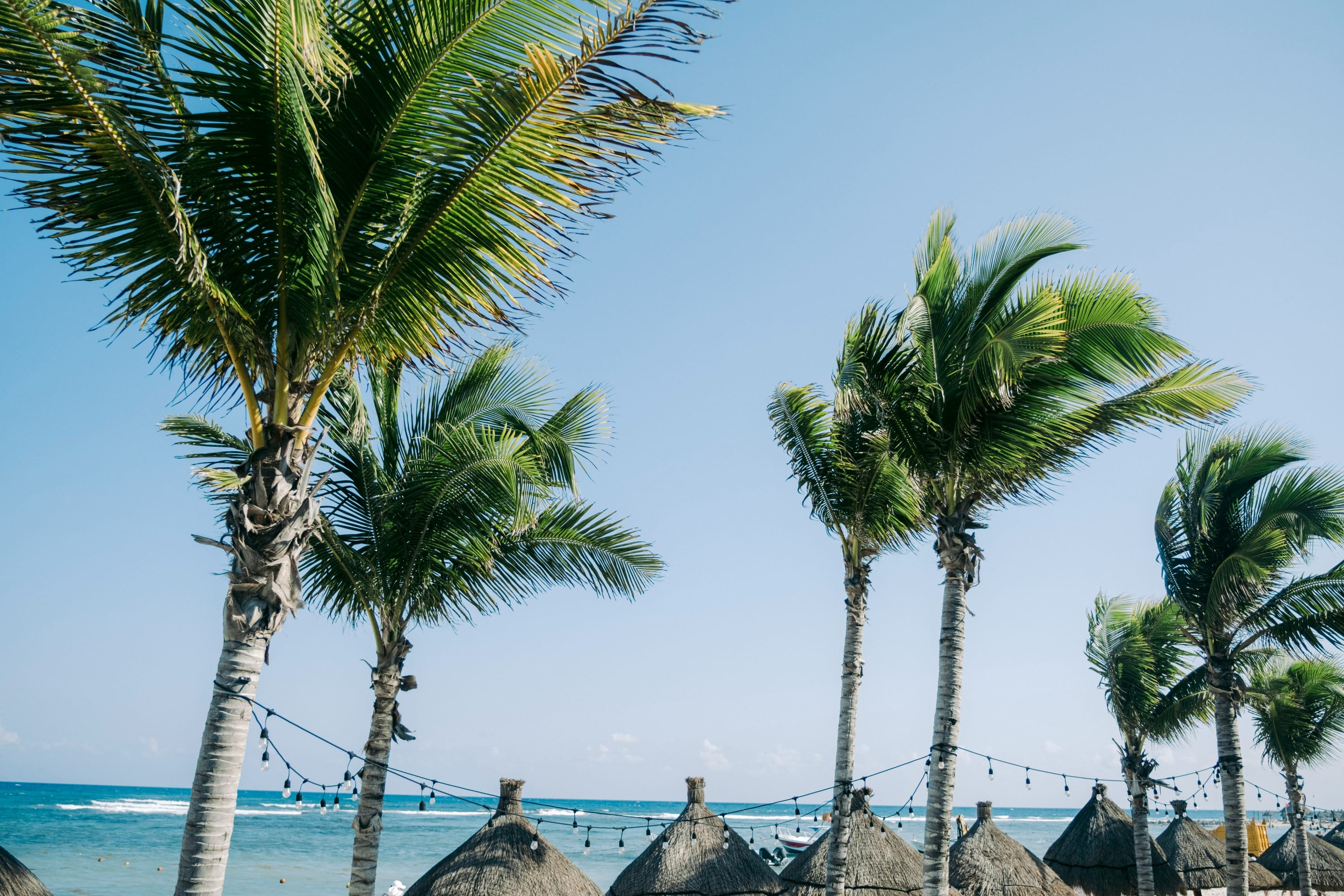The sun glistens off a row of palm trees with thatch roofs of small bungalows visible underneath and the ocean in the distance
