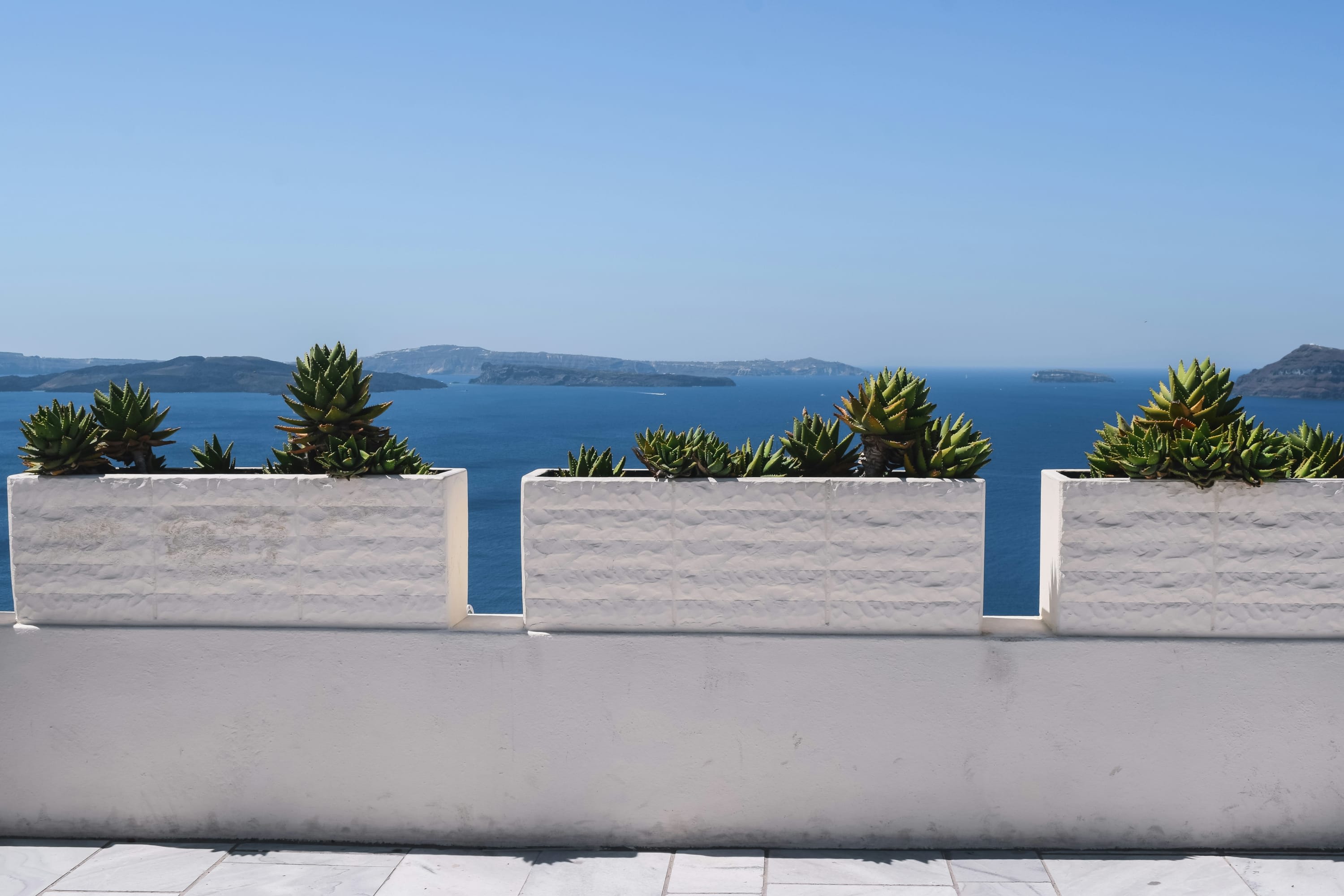 A few succulents sit in plant pots doubling as wall accents on a whitewashed roof space along Santorini's coastline
