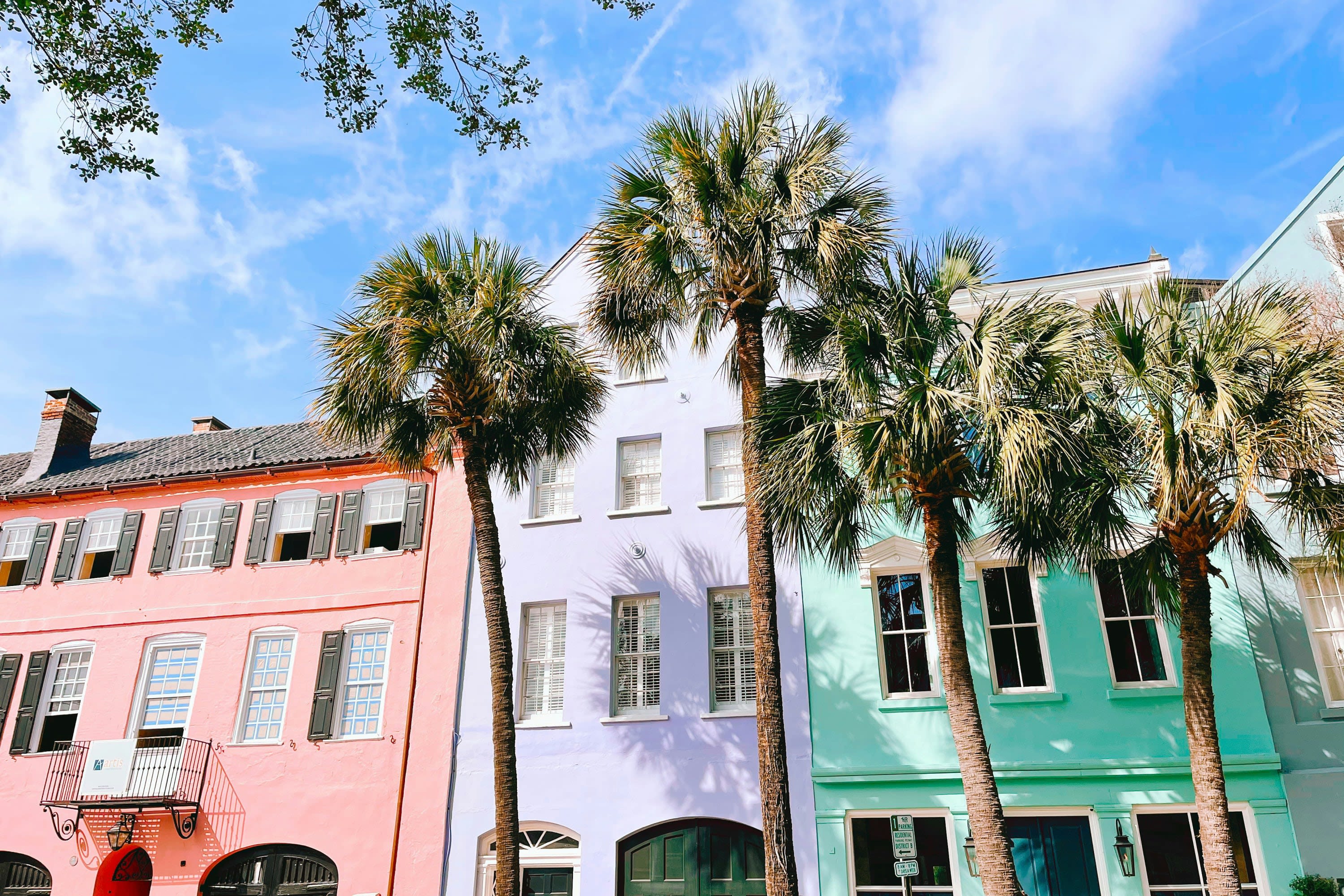 Palm trees partially obscure the colorful faces of historic townhomes in Charleston