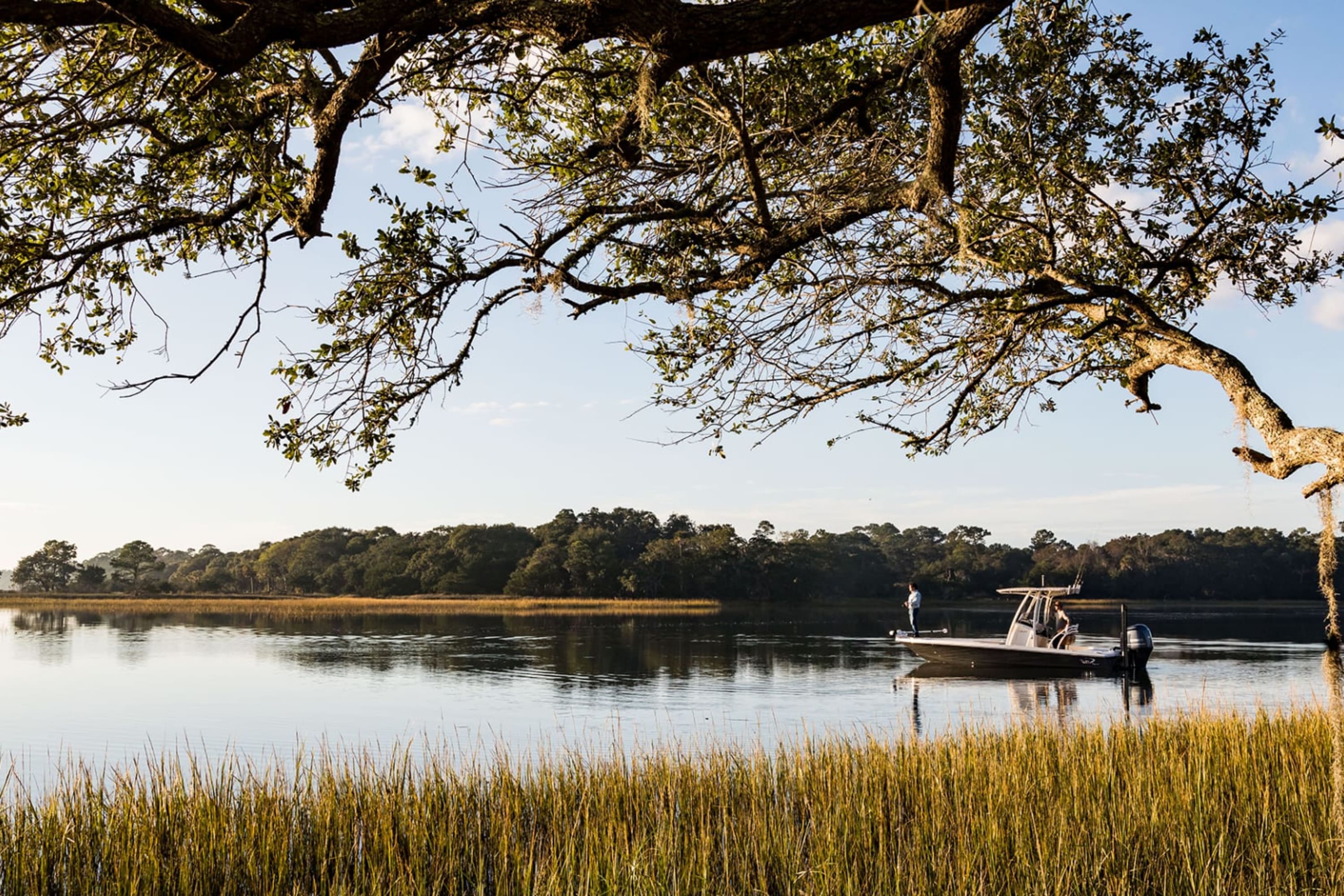 A small motorboat quietly makes its way up a body of water surrounded by marshland and low-hanging trees