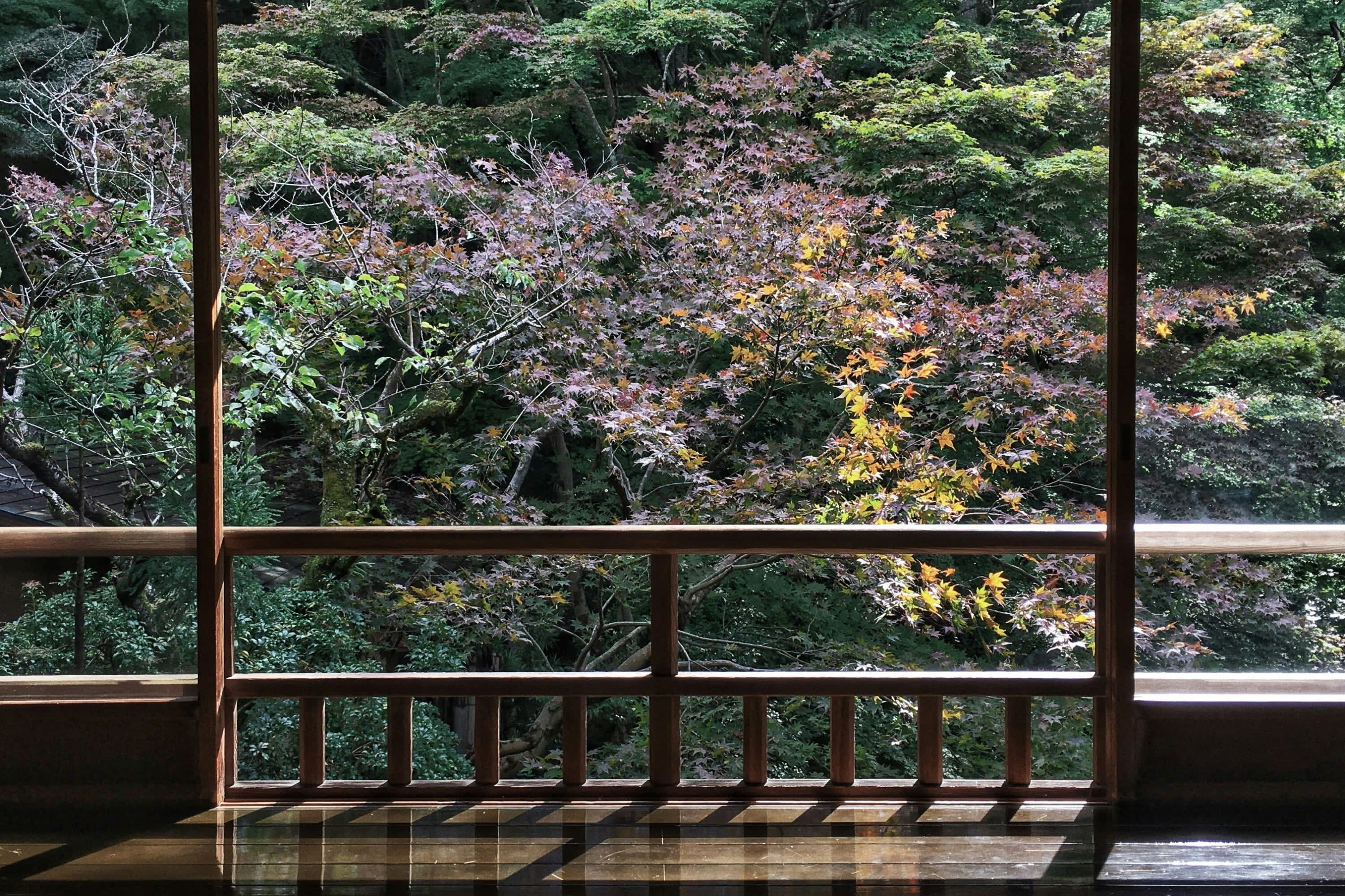 Traditional Japanese interior architecture with a colorful forest occupying the immediate view from a balcony