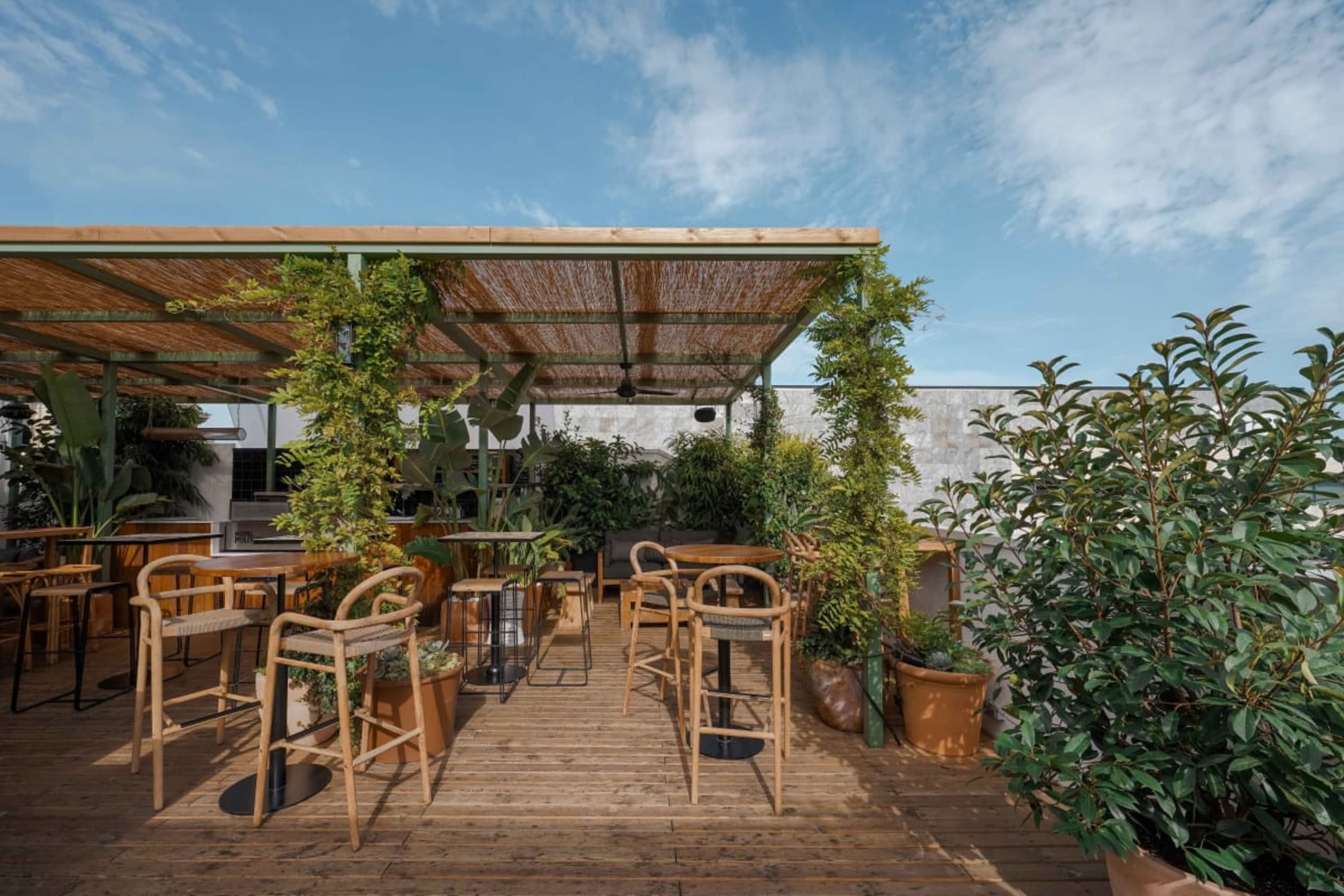 Modern rooftop terrace space with a fabric awning and lots of greenery