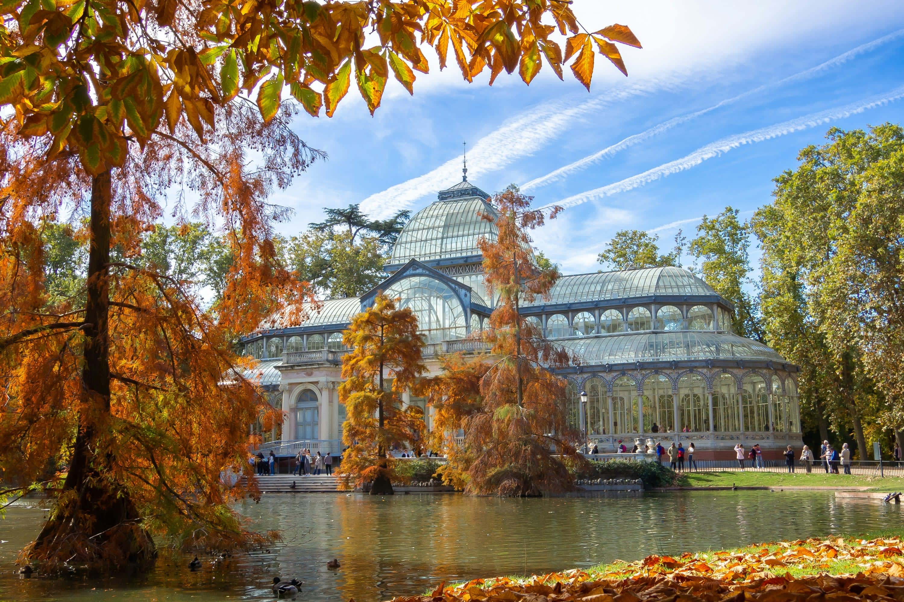 Massive glass-window structure on the opposite edge of a pond with fall foliage everywhere