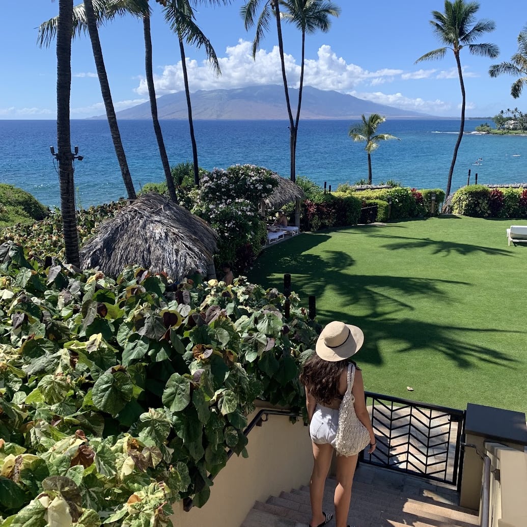 Fora Author Brittani Friedland