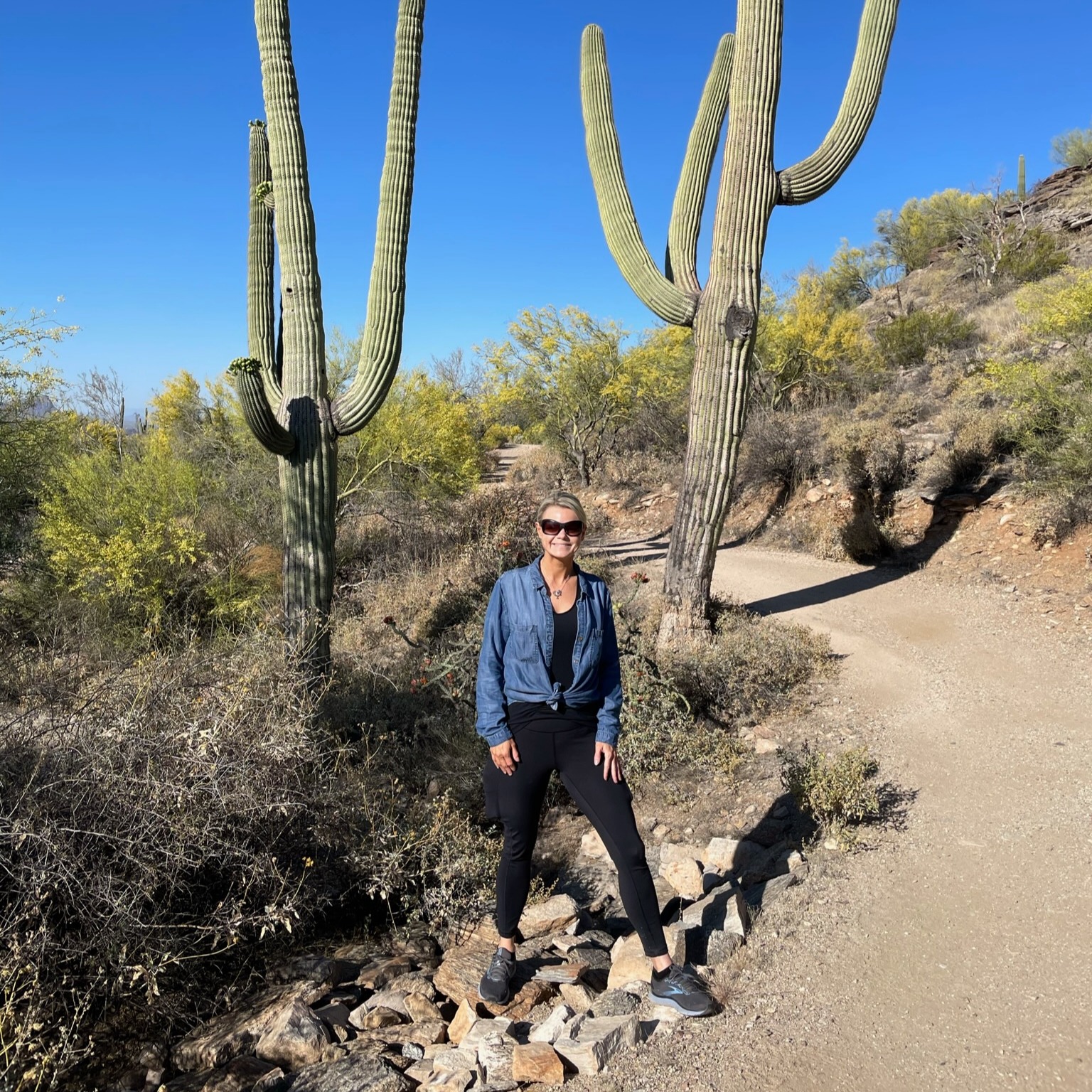 Advisor - Julie Clark