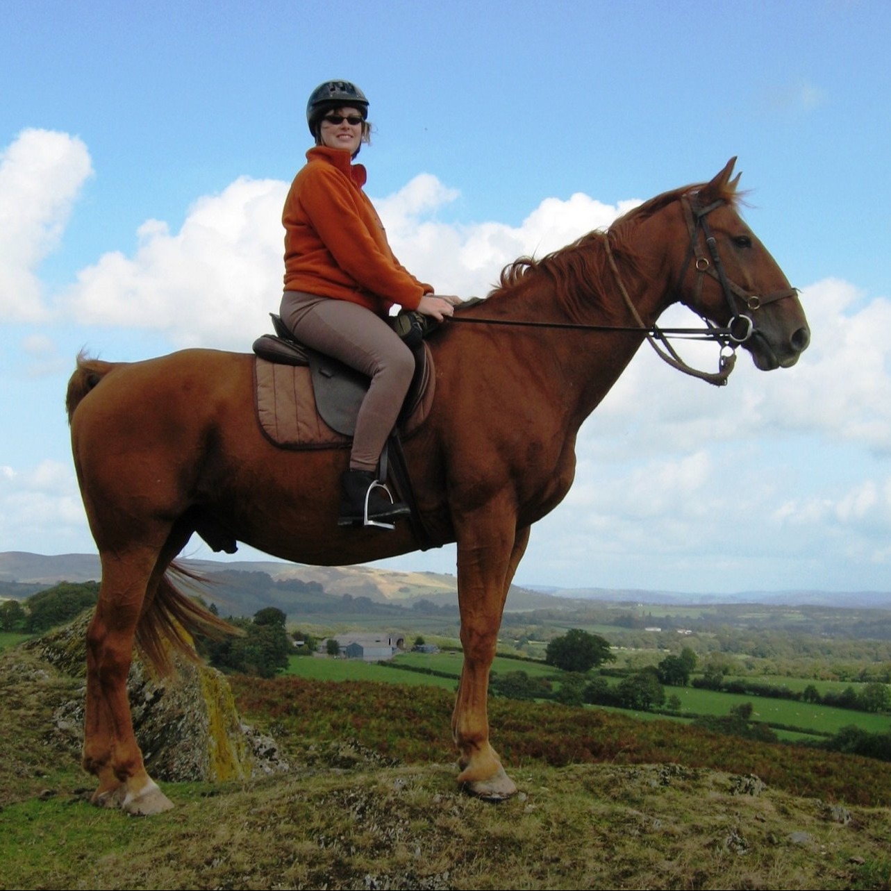 Advisor - Christine Glatz