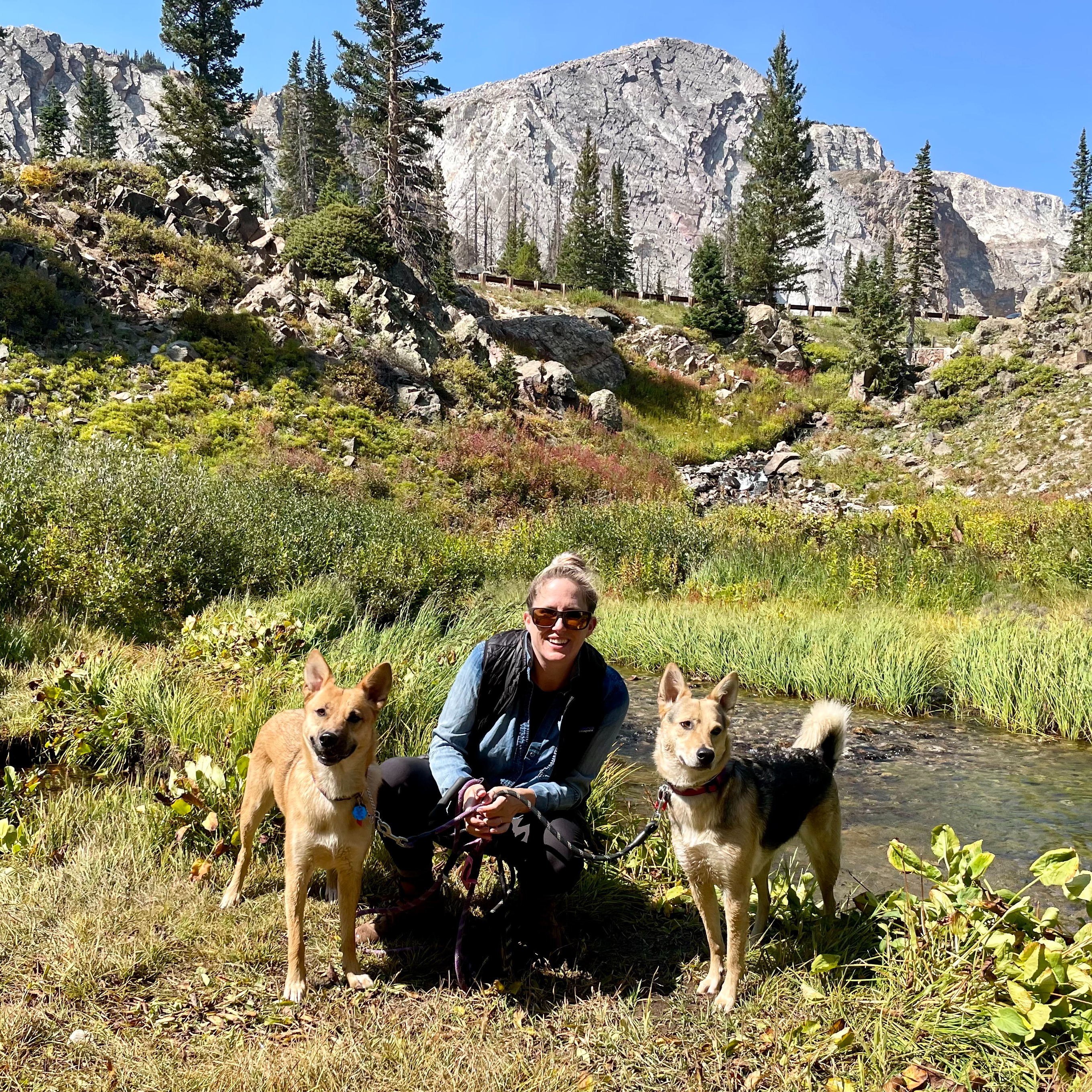 Fora Author - Leigh-Ann Boyles