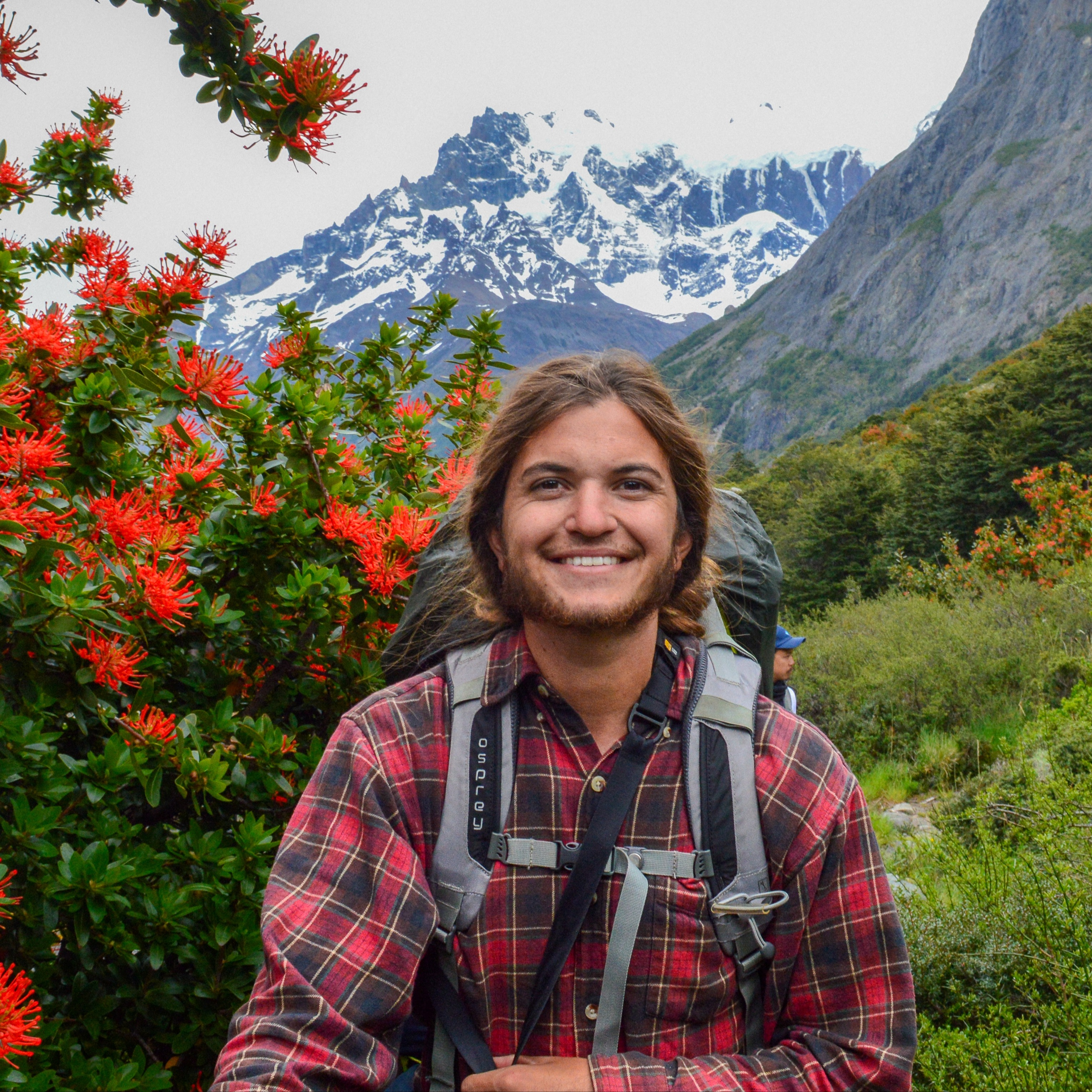 Travel Advisor - Ronny Young