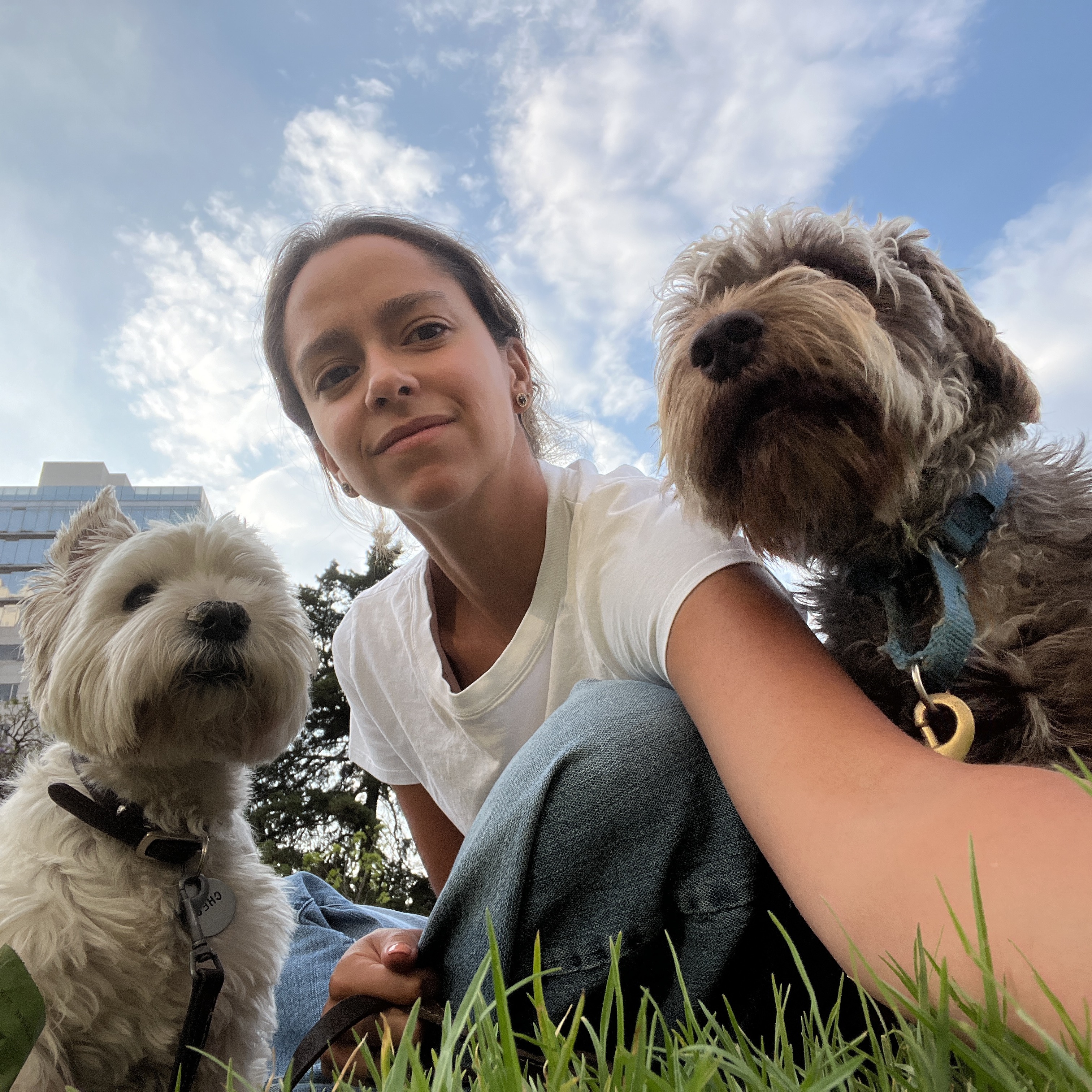 Aida Sarabia curated by Aida Sarabia