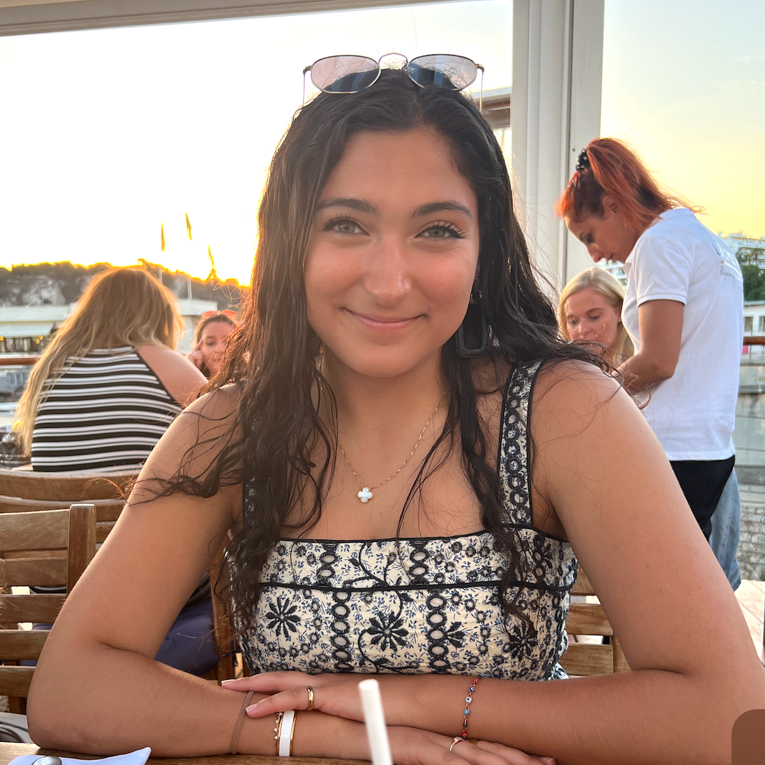 Advisor - Darya Nouri
