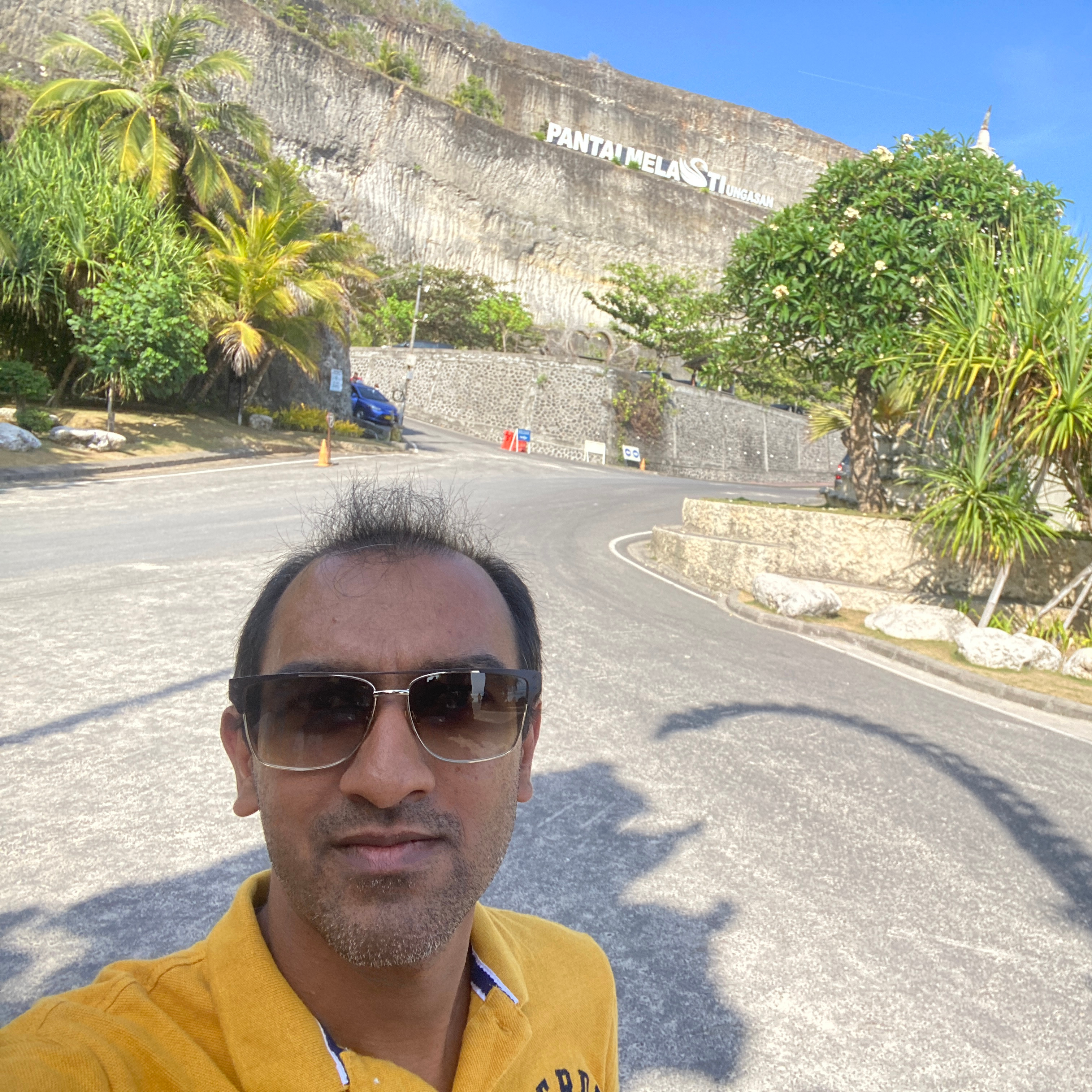Advisor - Karan Aggarwal