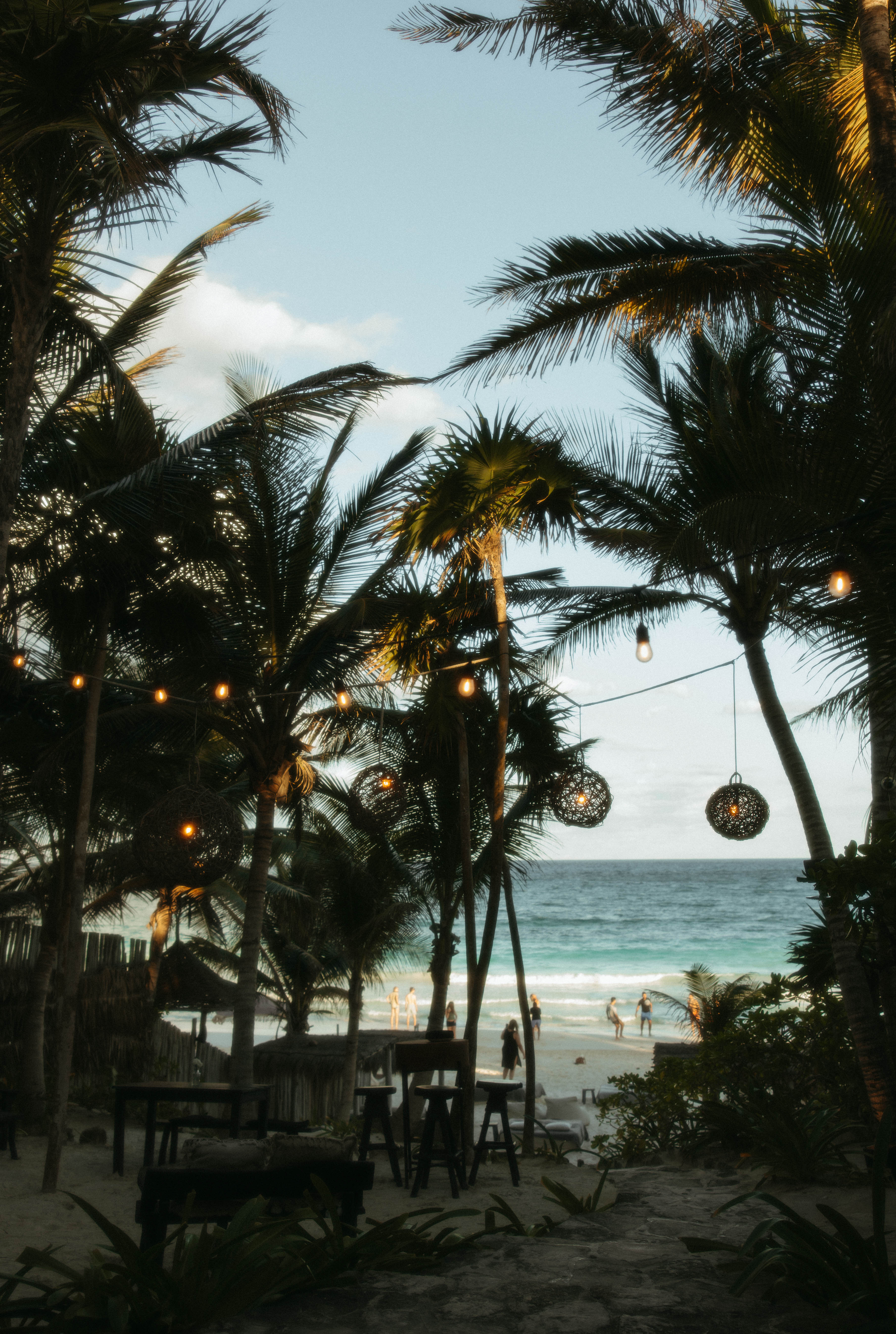 An image of a beach on a sunny day with foliage and trees with the ocean in the distance.
